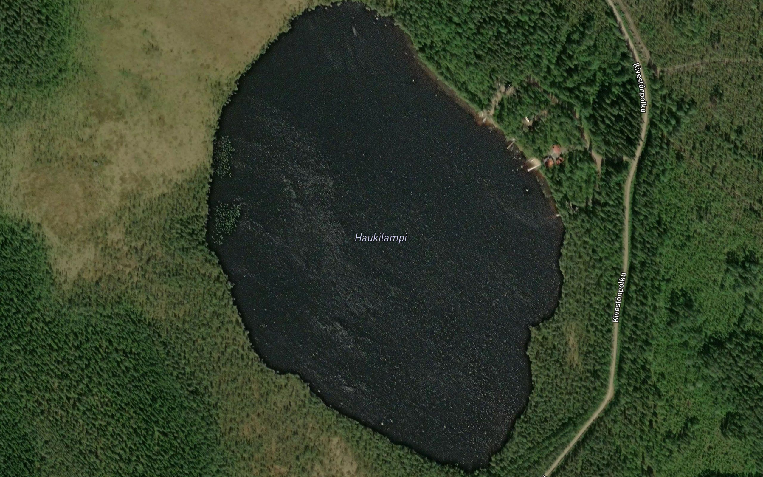 Haukilampi