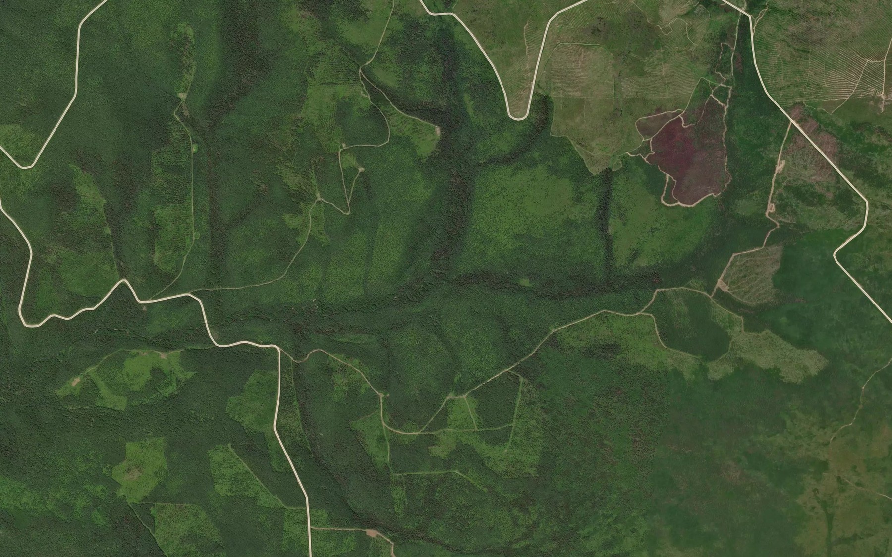 Satellite map of the Alin'