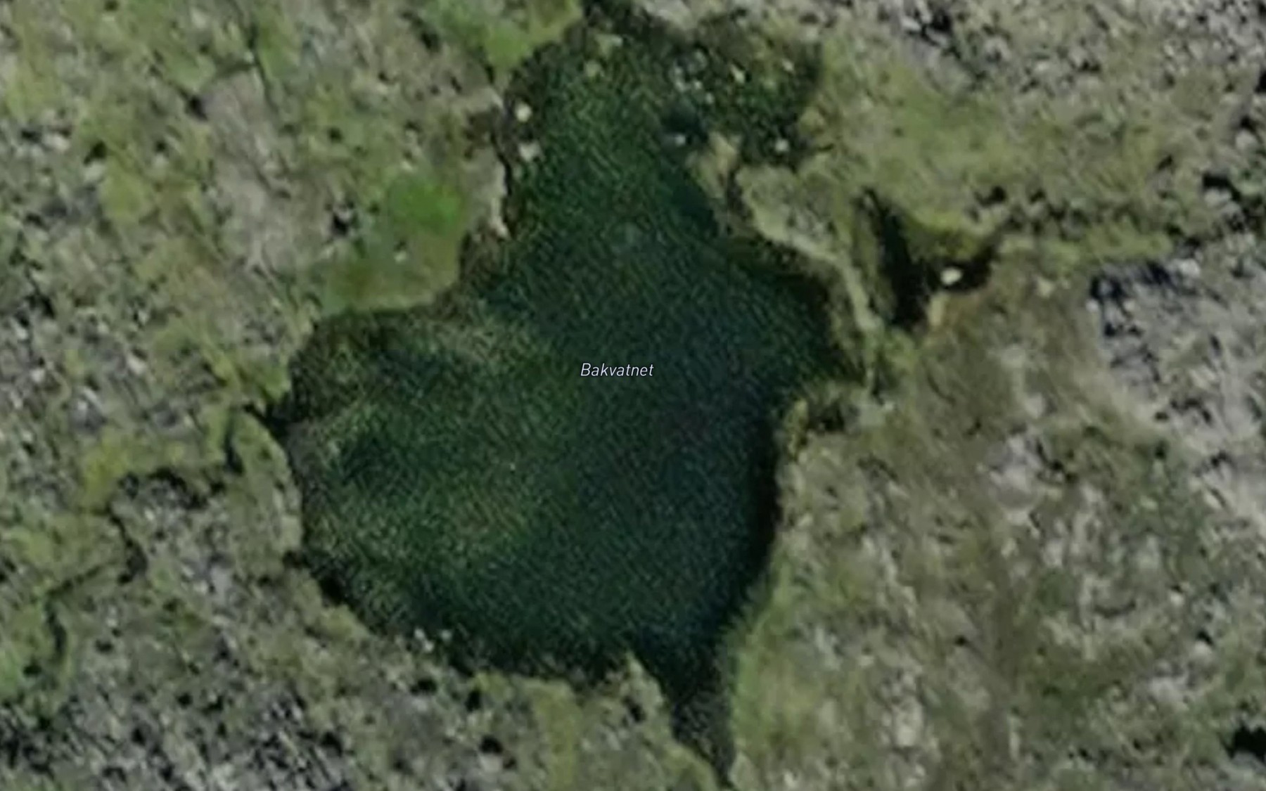 Satellite map of the Bakvatnet