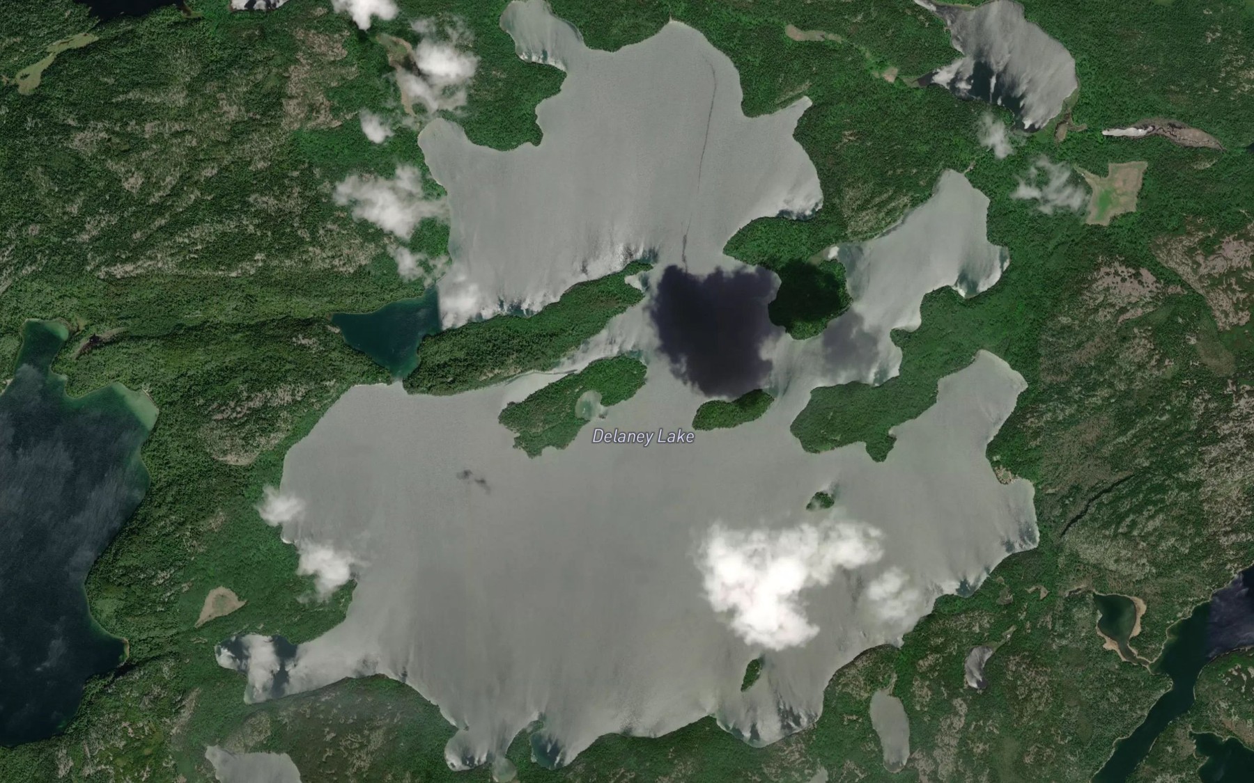 Satellite map of the Delaney Lake