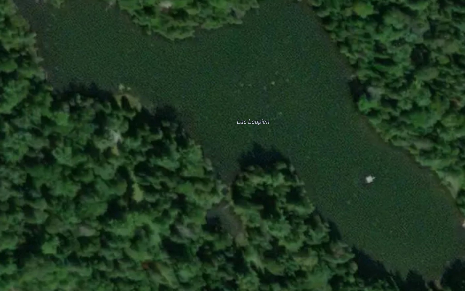 Satellite map of the Lac Loupien
