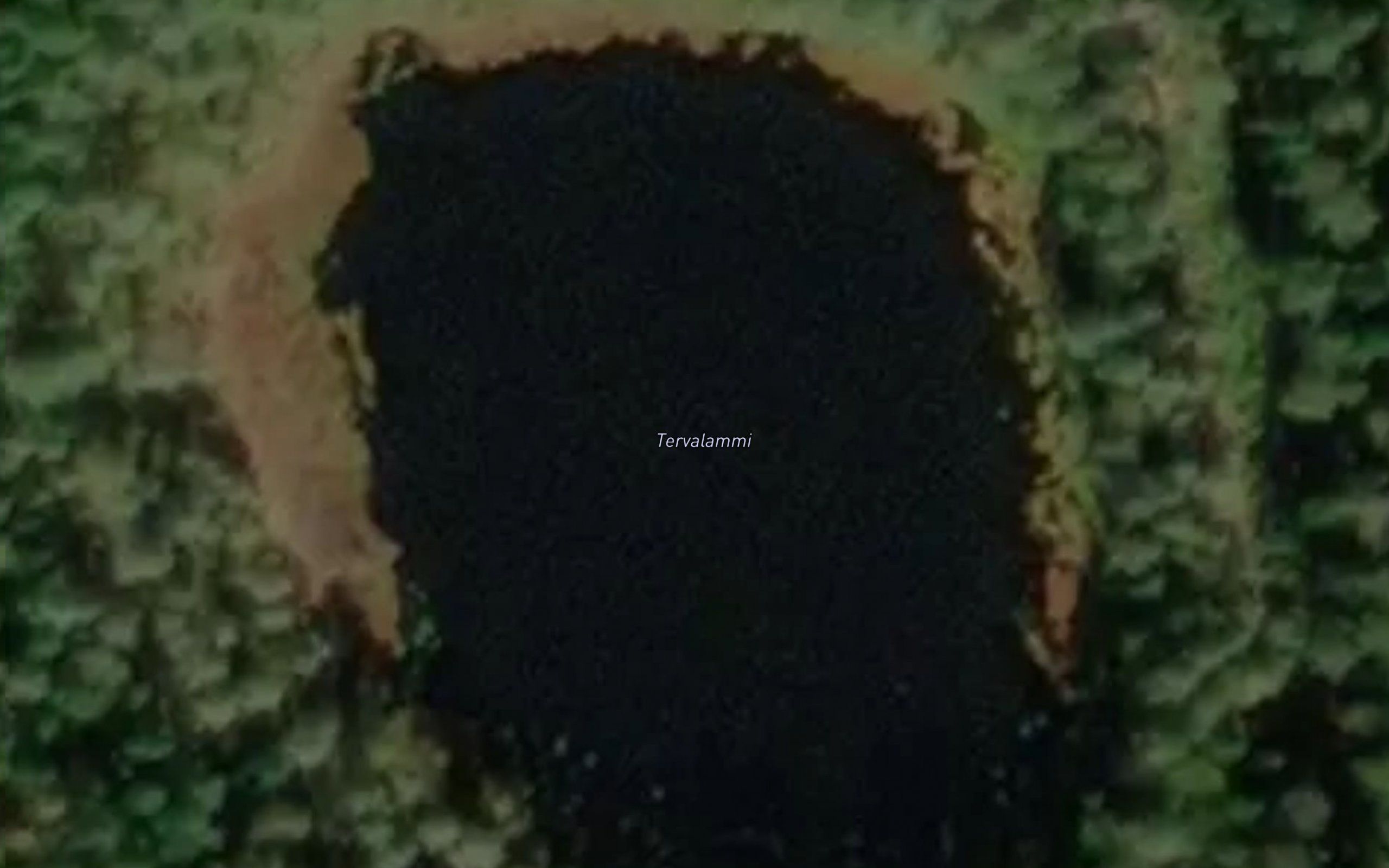 Tervalammi