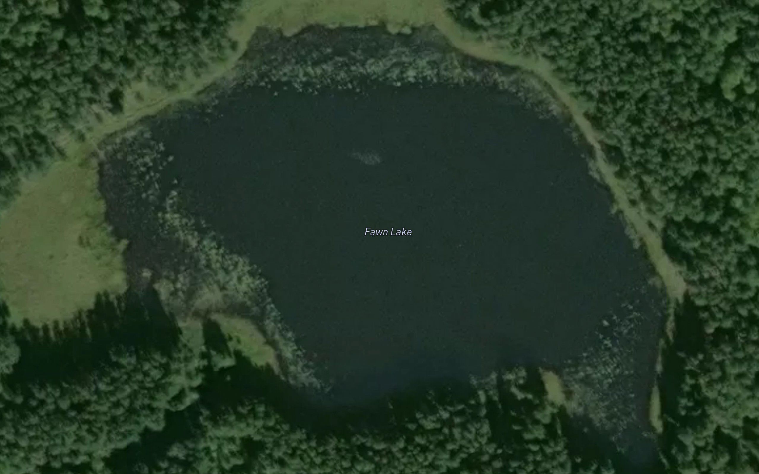 Fawn Lake