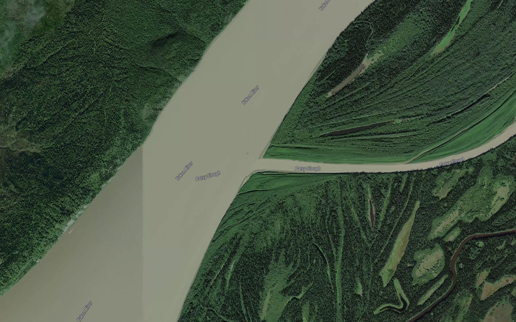 Satellite map of the Patsy Slough