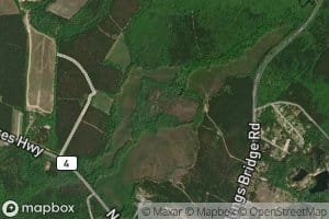 Moss Pond