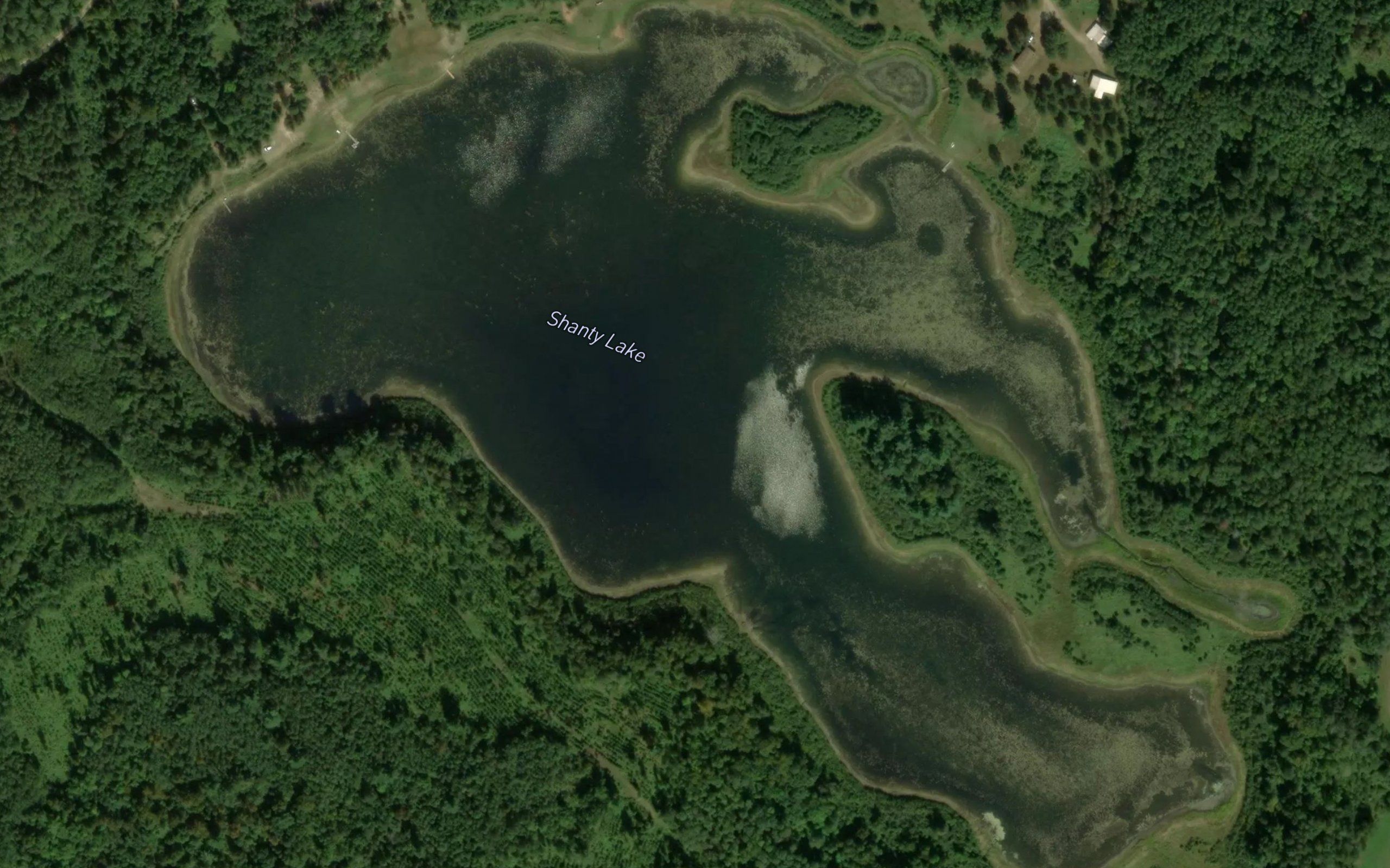 Shanty Lake