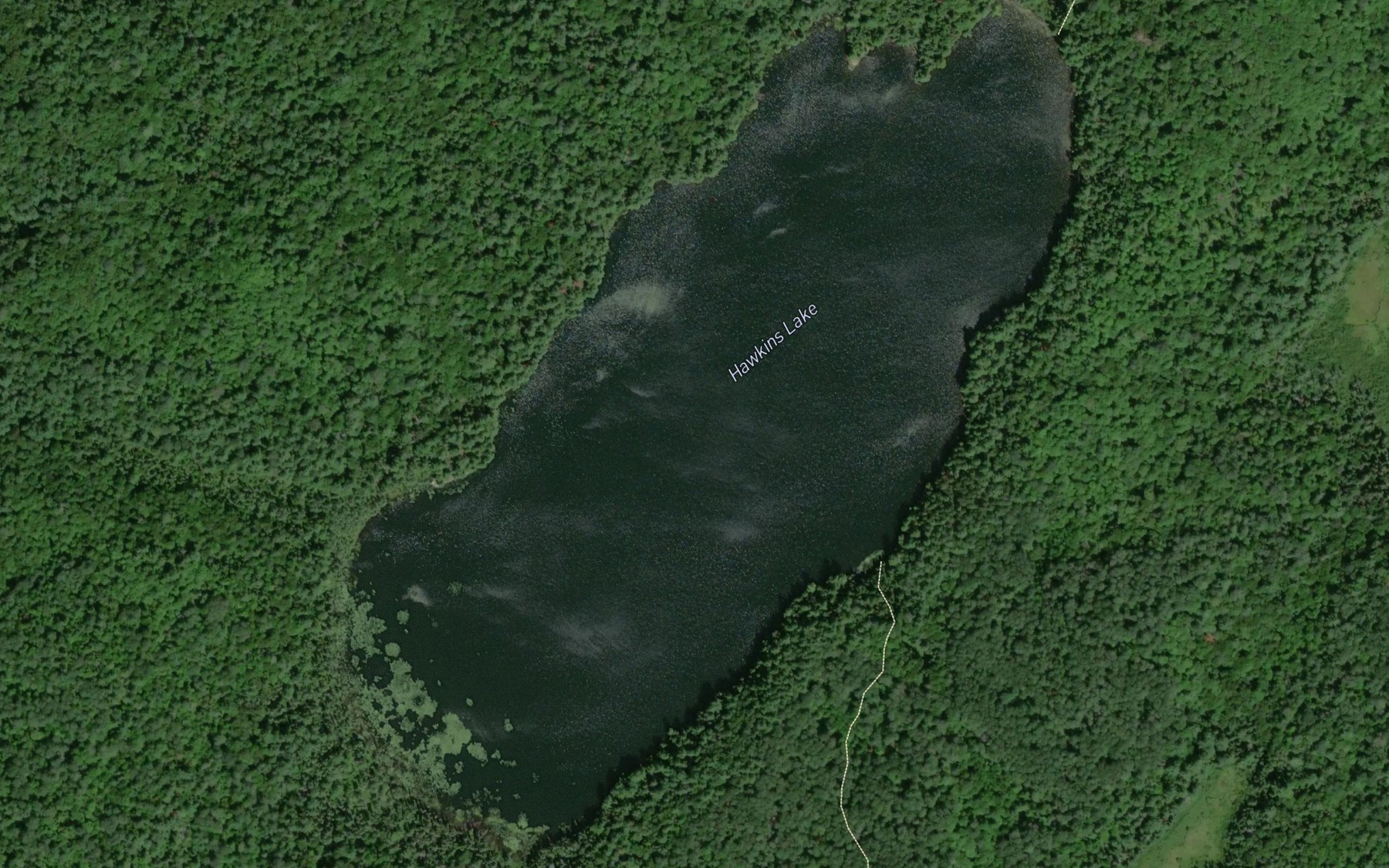 Satellite map of the Hawkins Lake