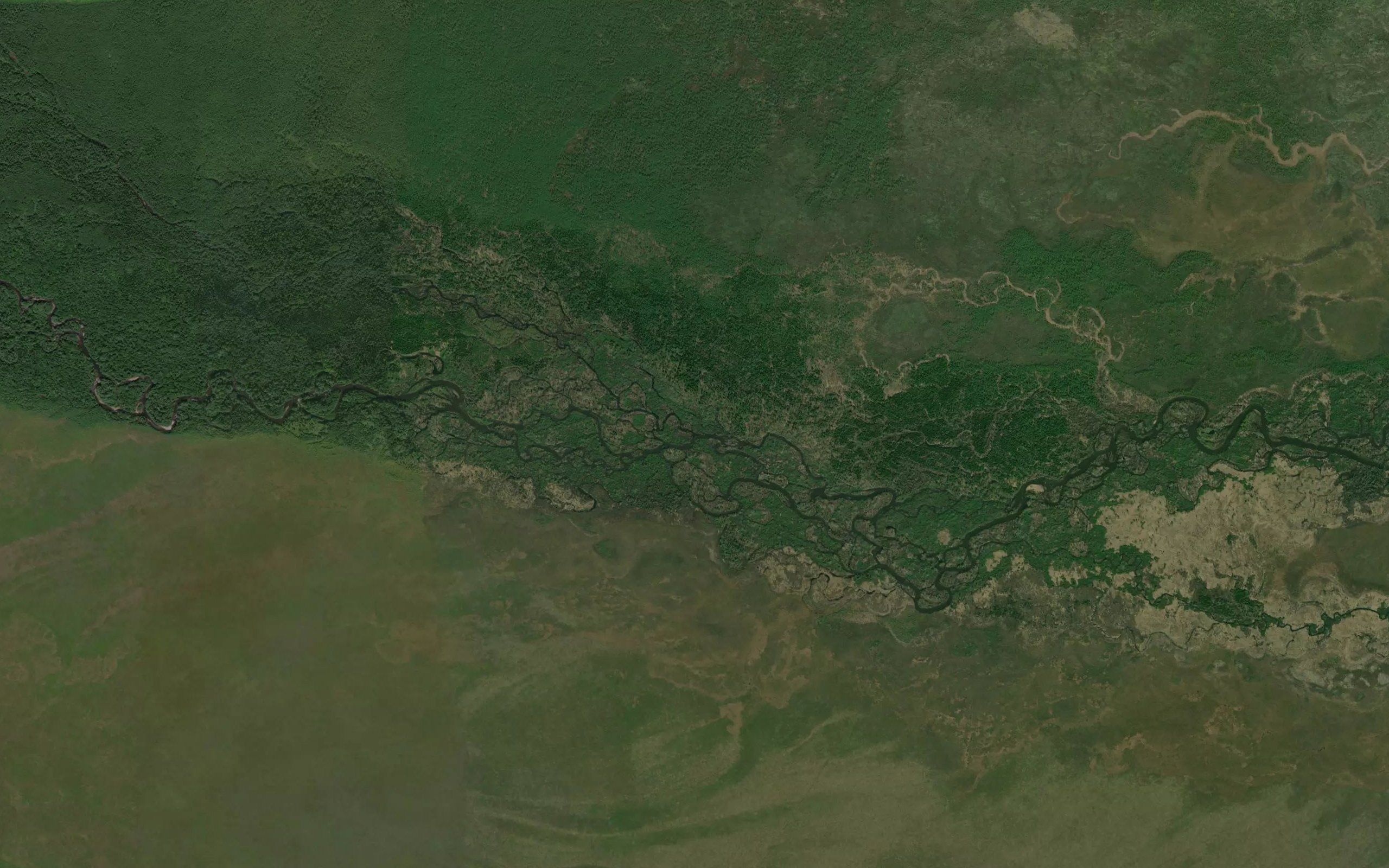 Izvilistyy