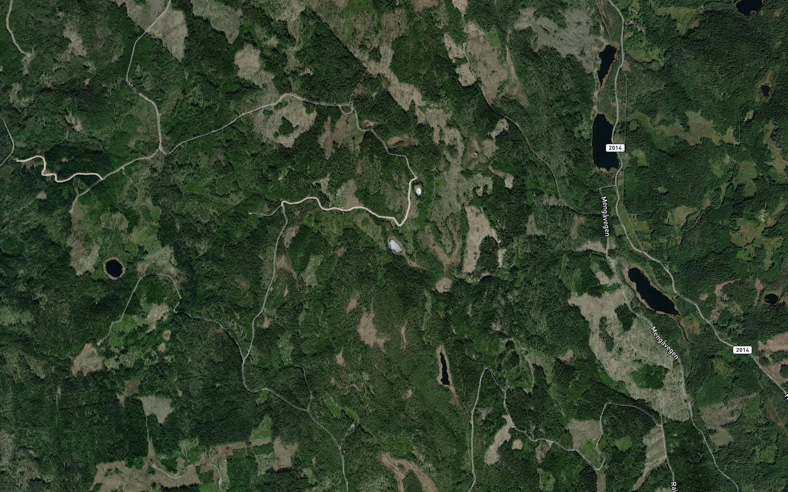 Surtjern