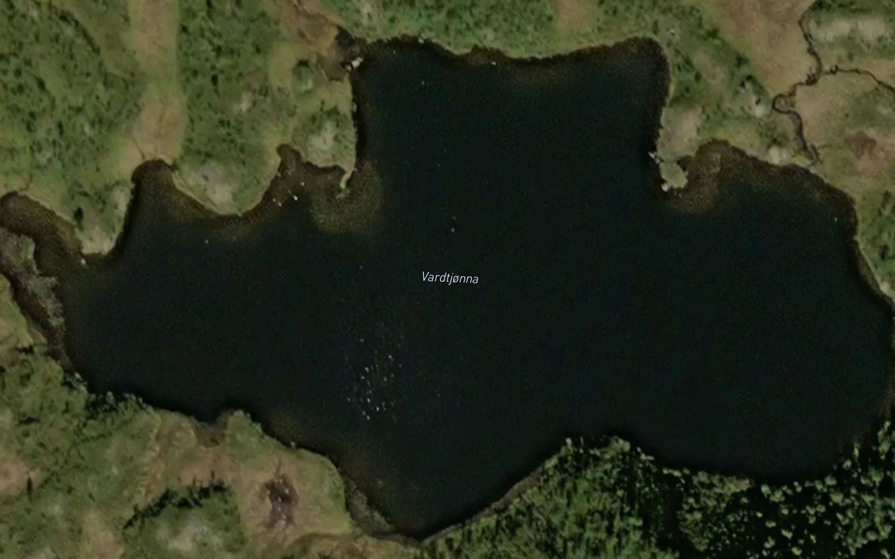 Satellite map of the Vardtjorna