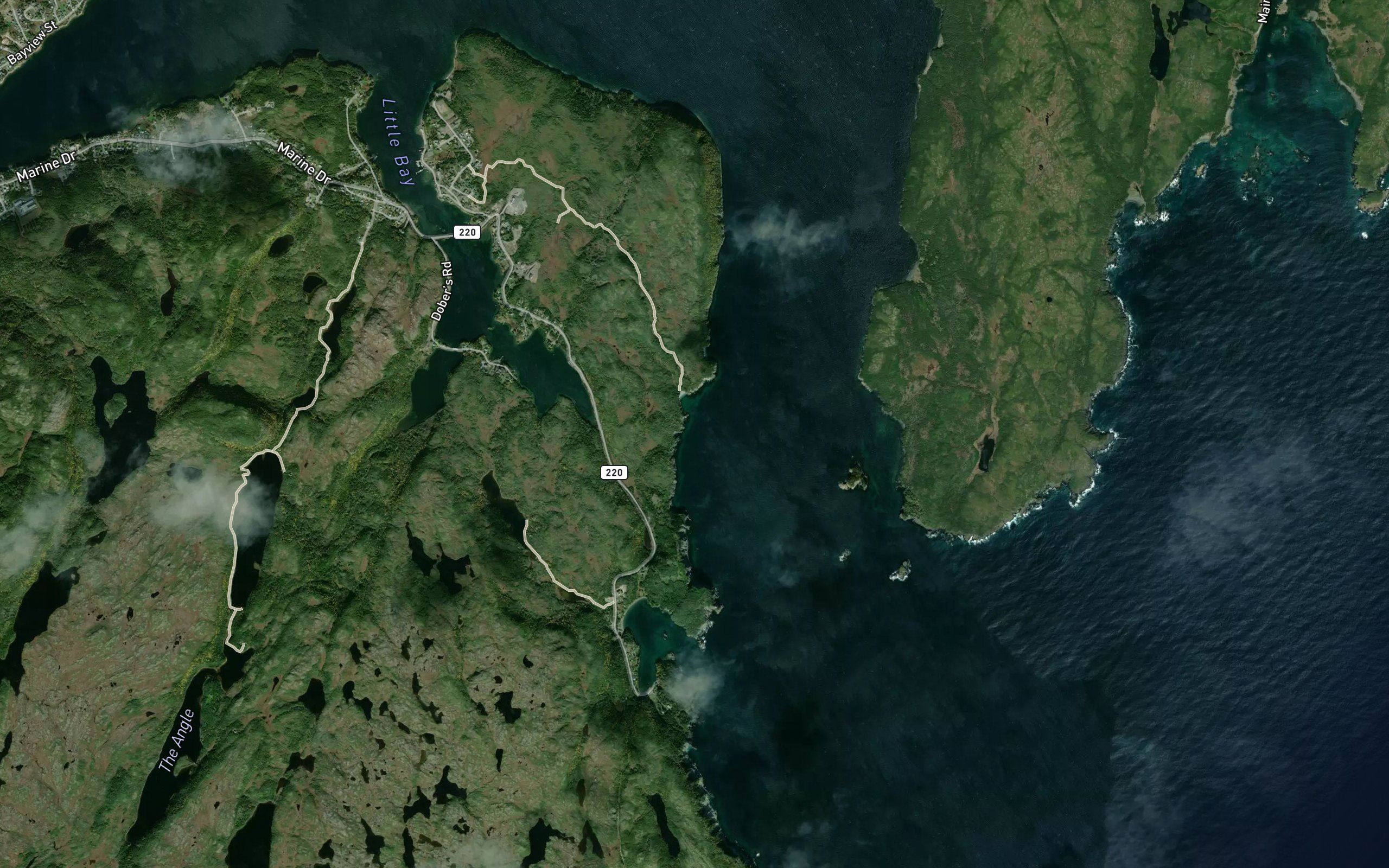Wild Cove