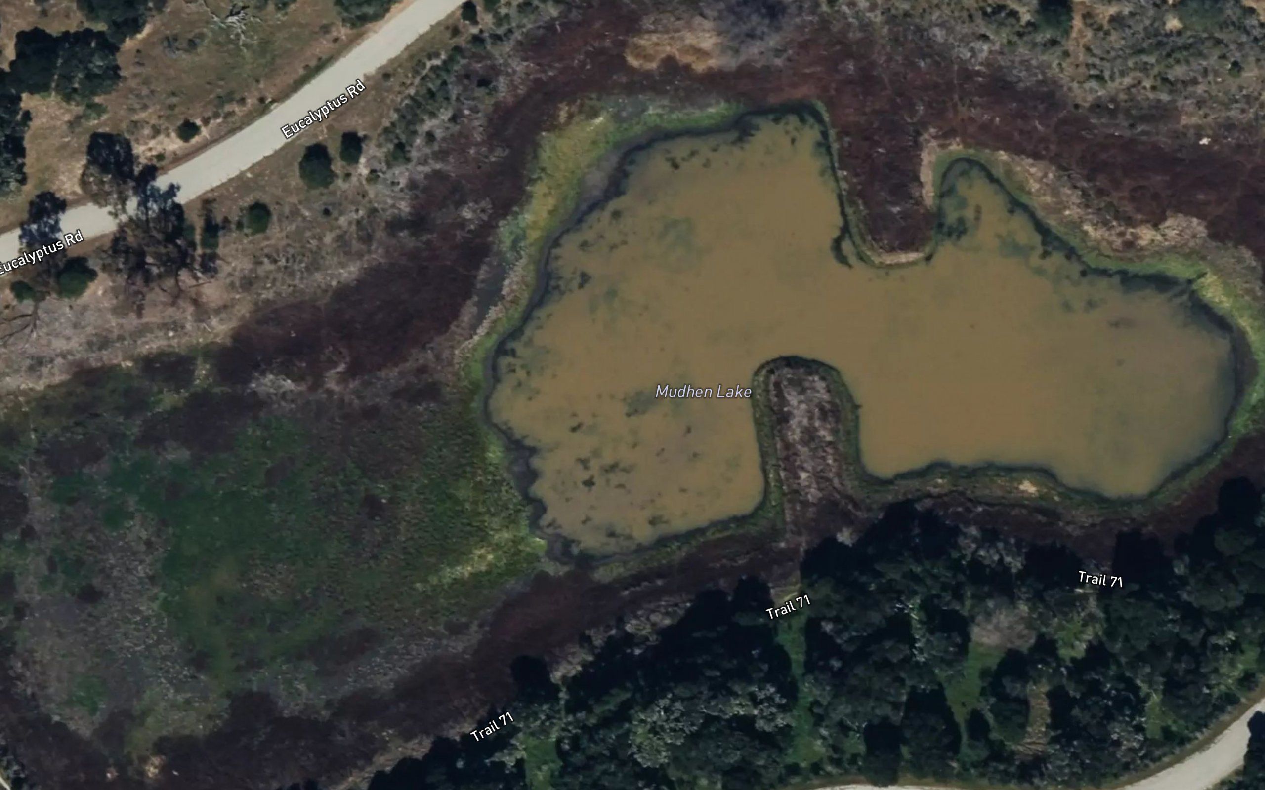 Mudhen Lake