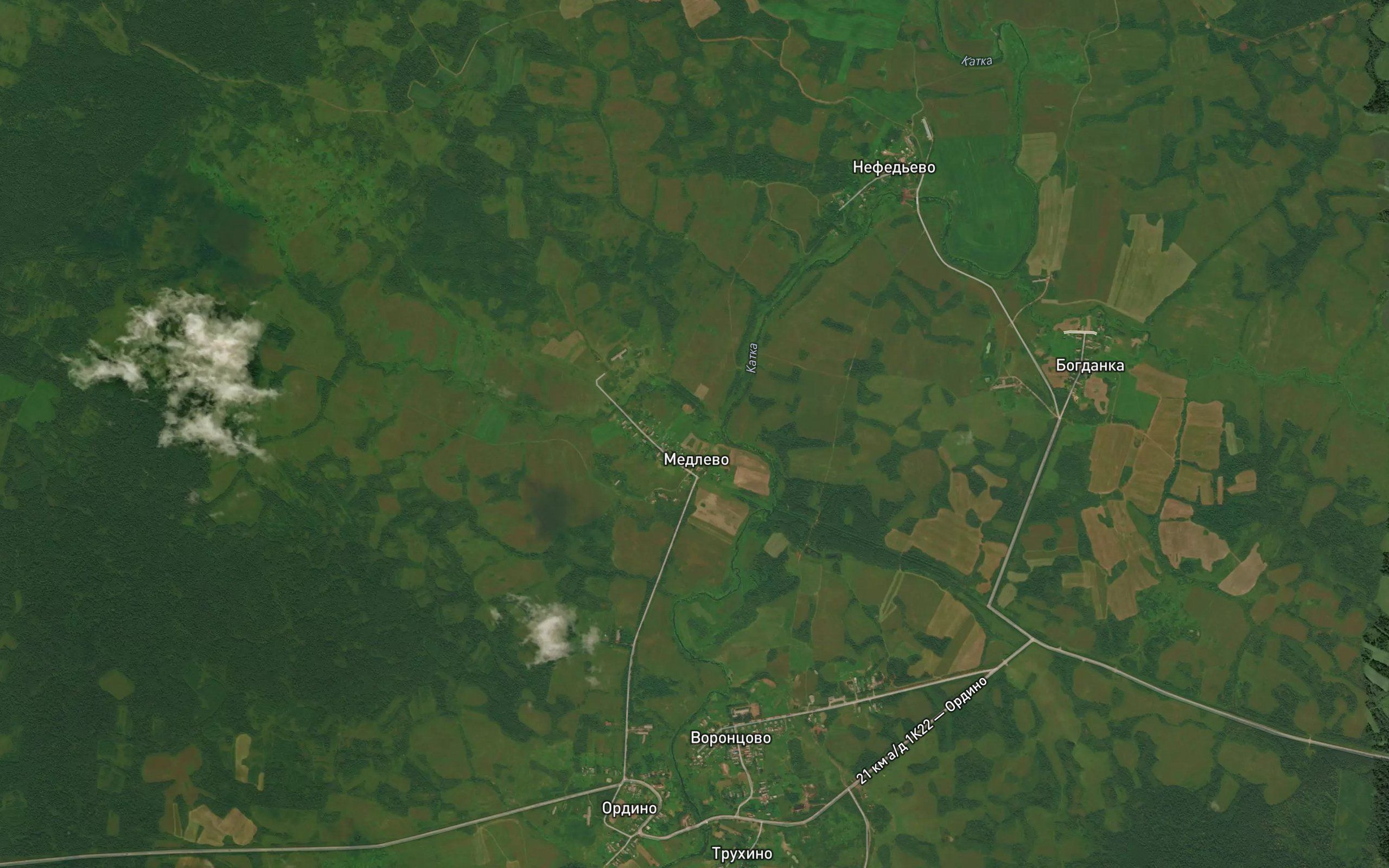Kononovo