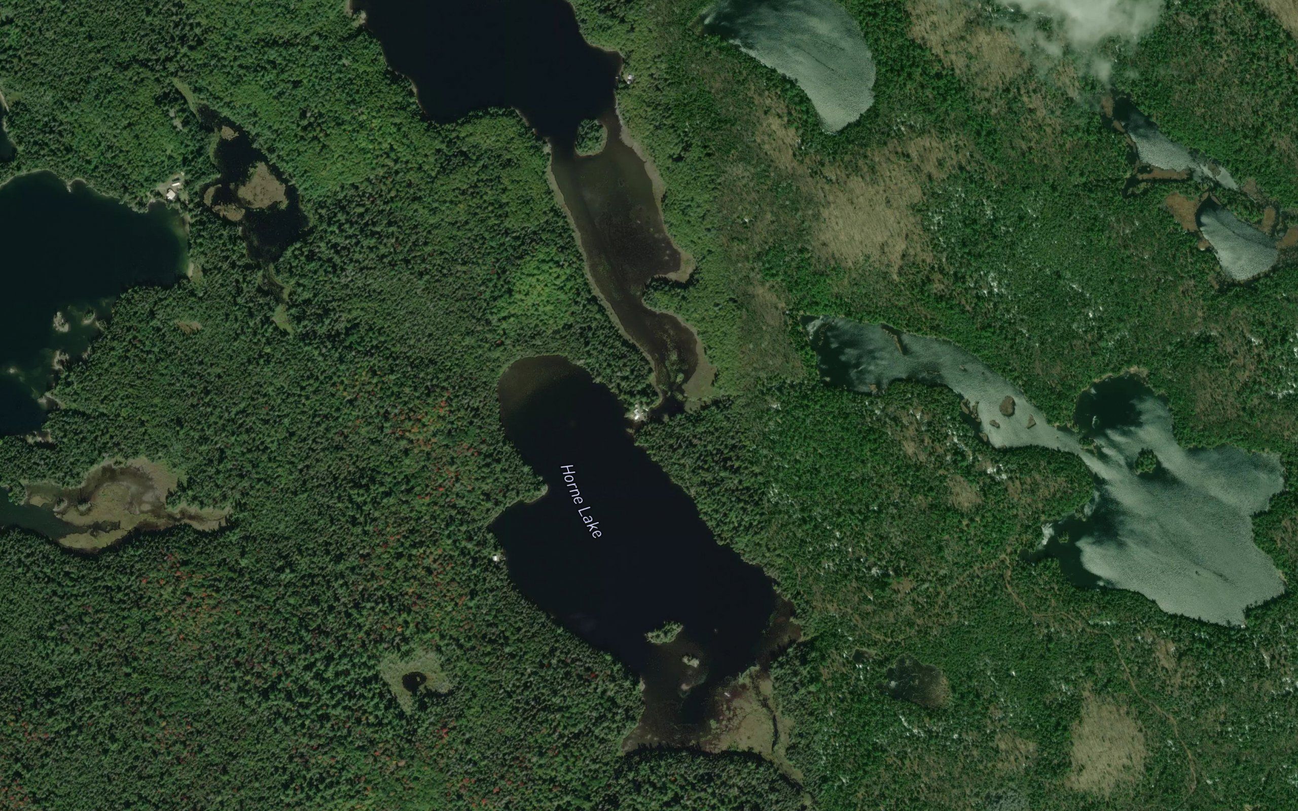 Horne Lake