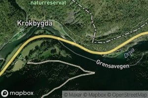 Langsvaet