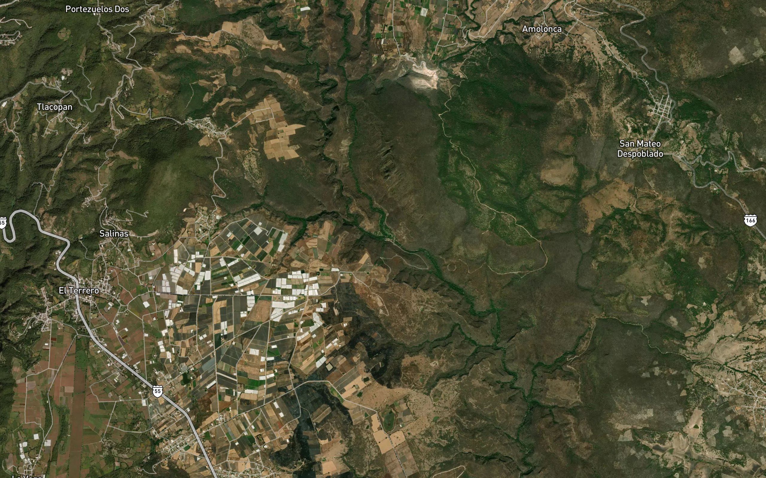 Calderon