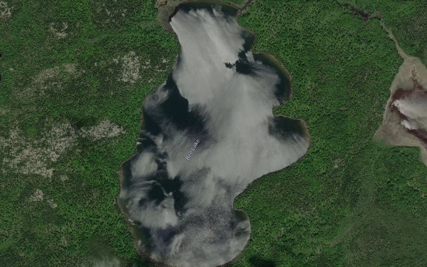 Satellite map of the Bee Lake