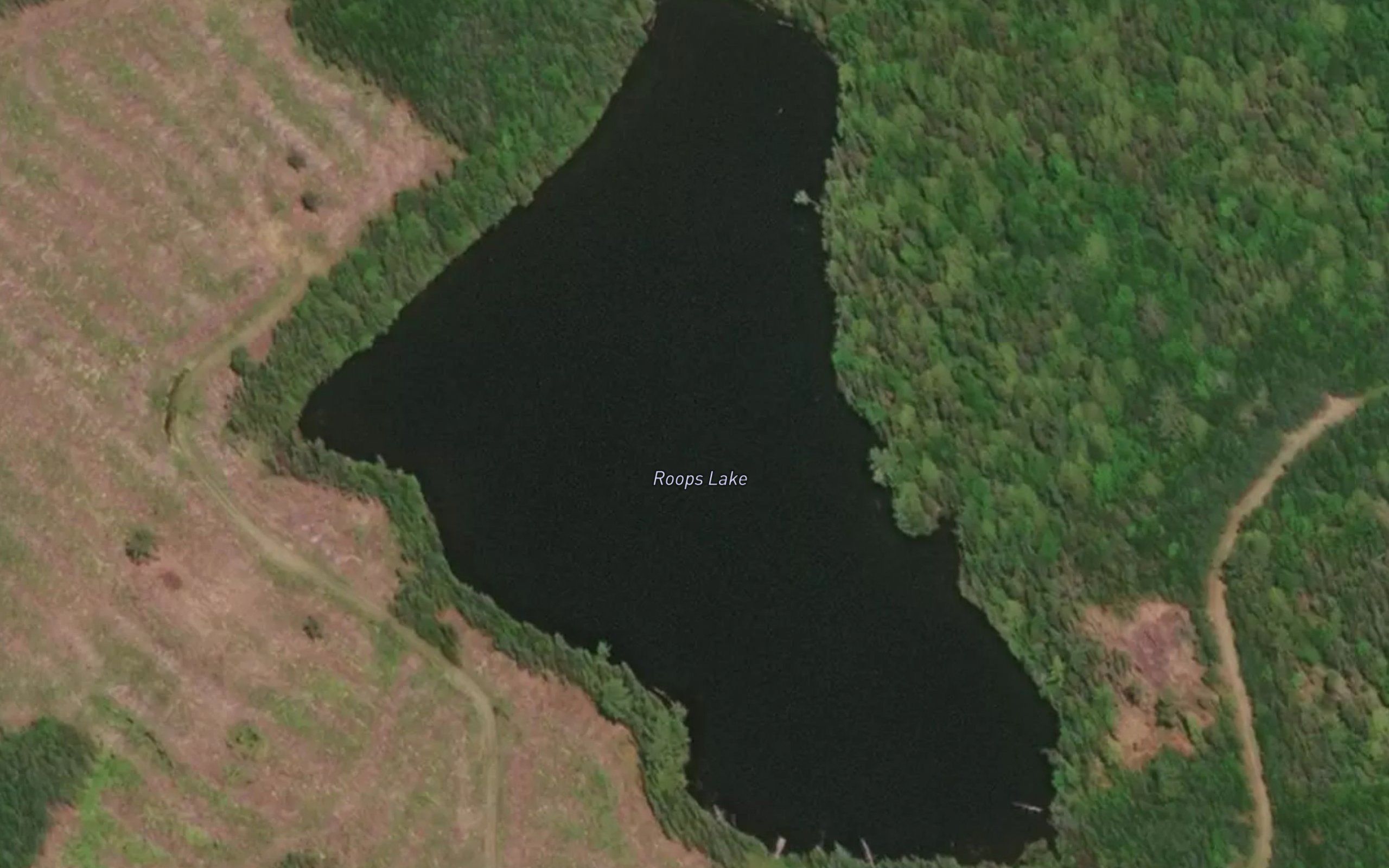 Roops Lake