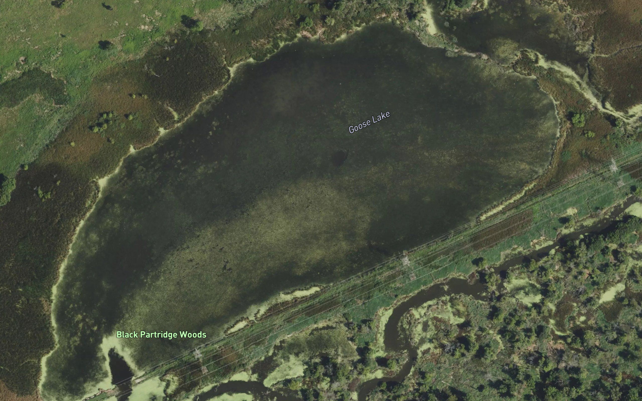 Goose Lake