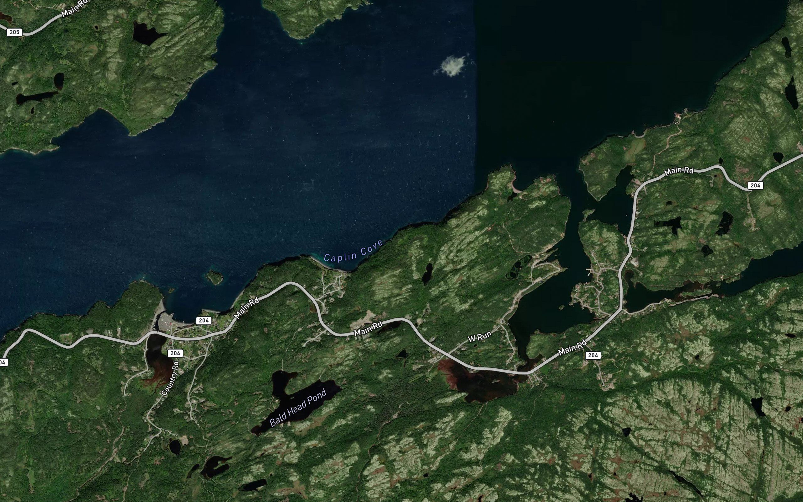 Caplin Cove