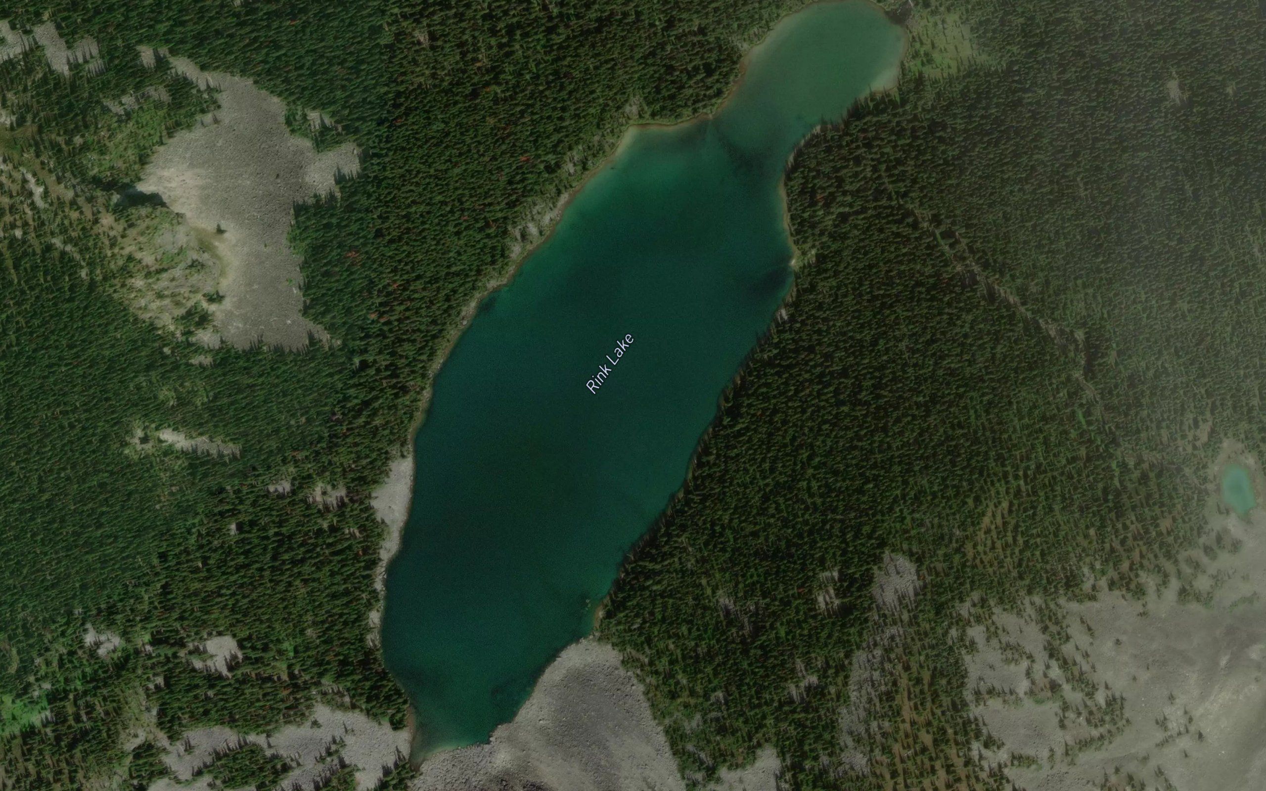 Rink Lake