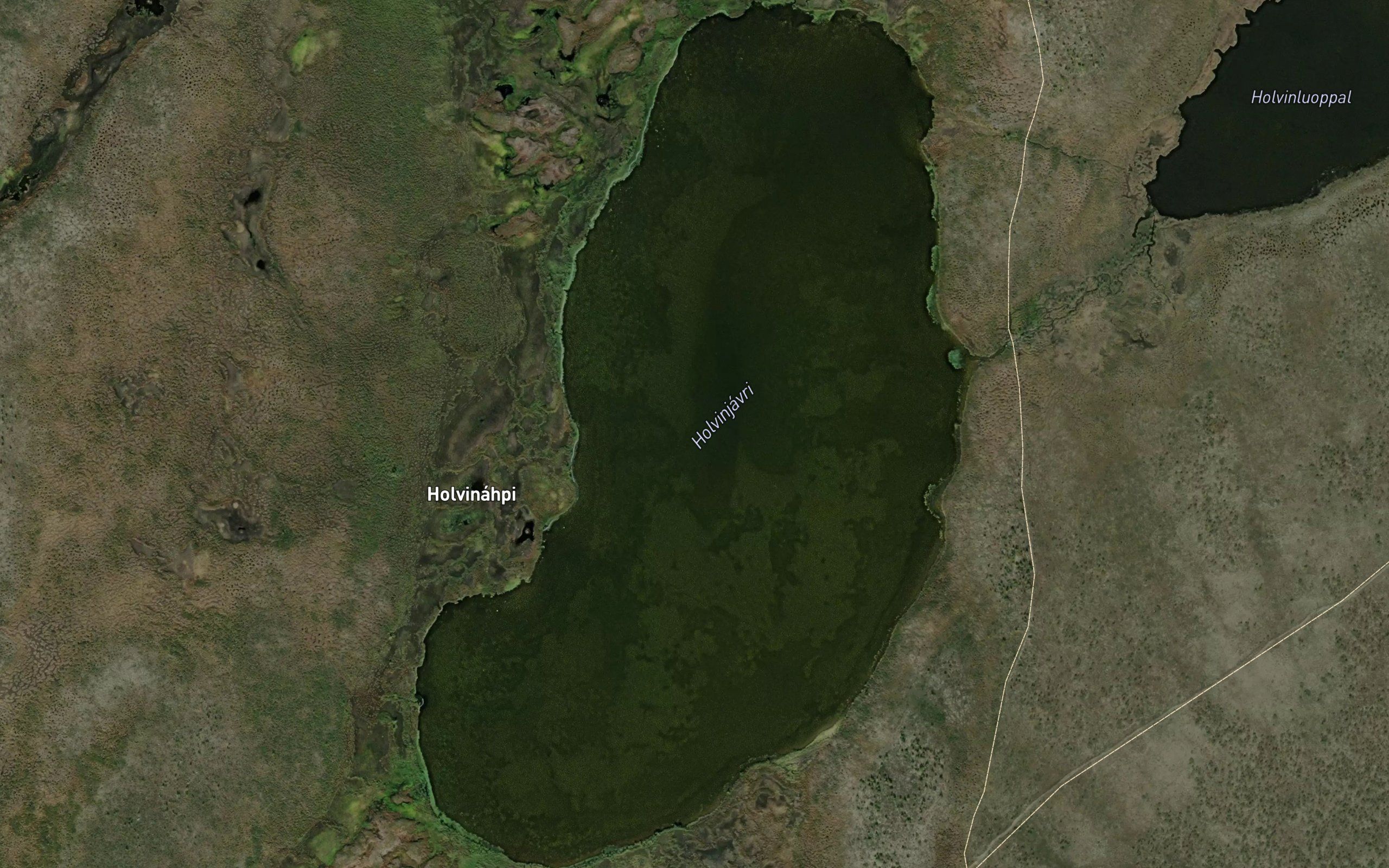 Halvinjavri