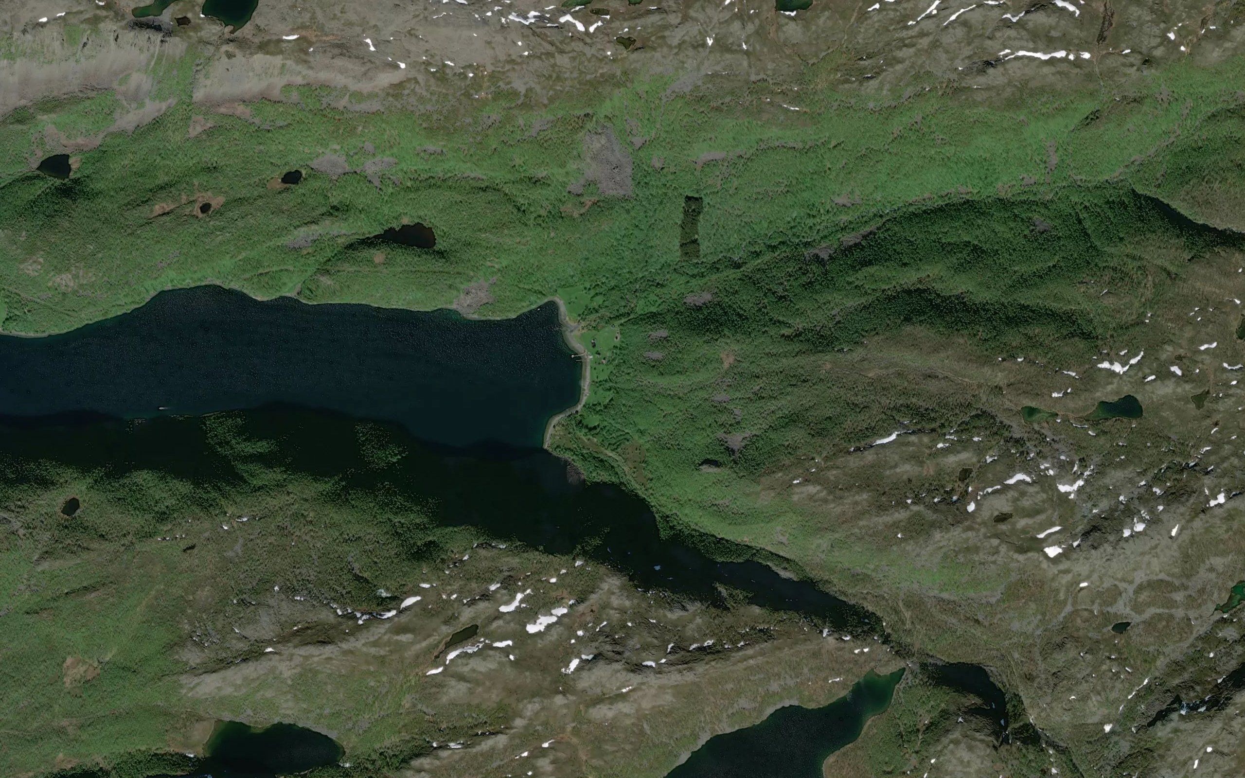Caerretjakka