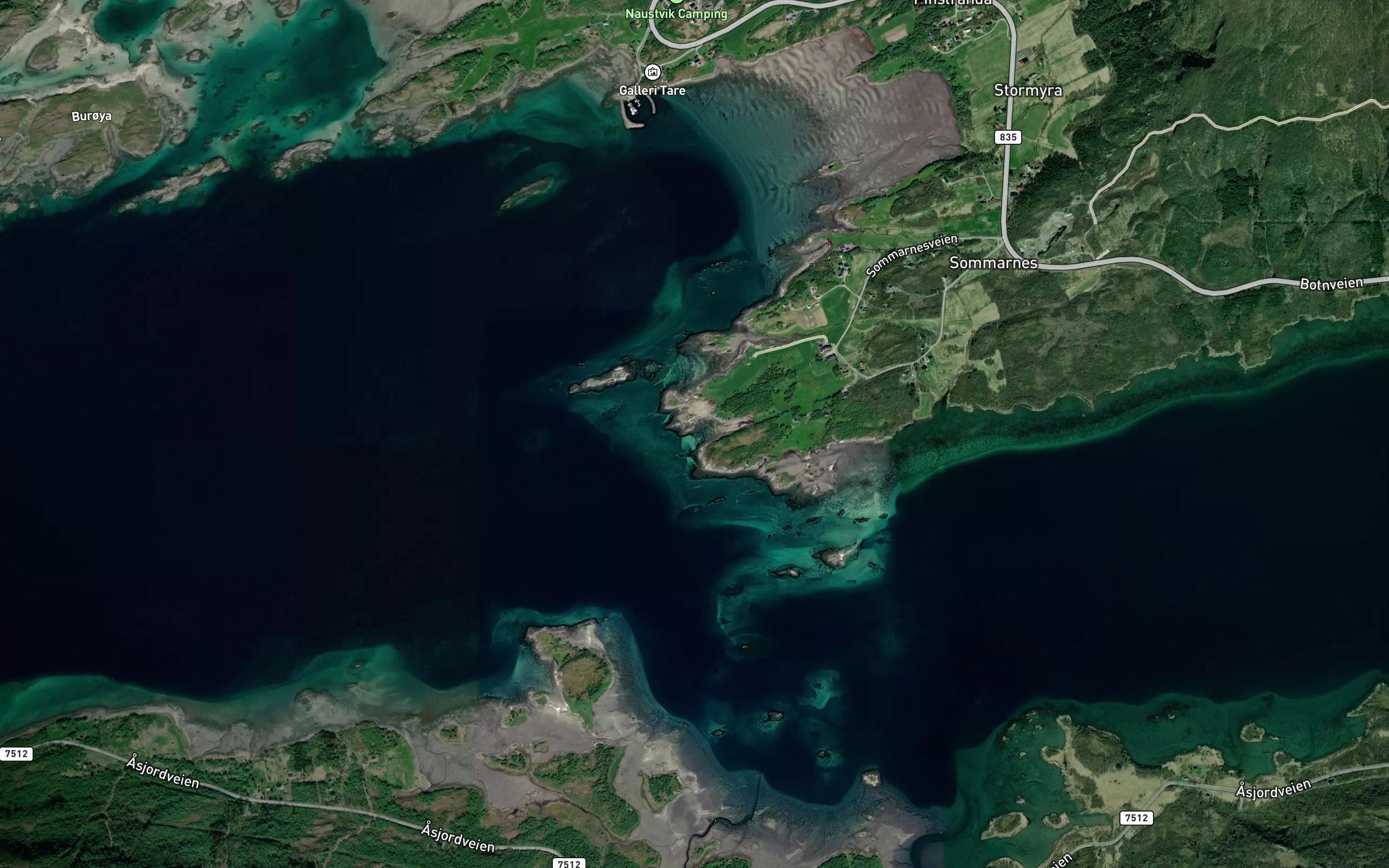 Hestosen