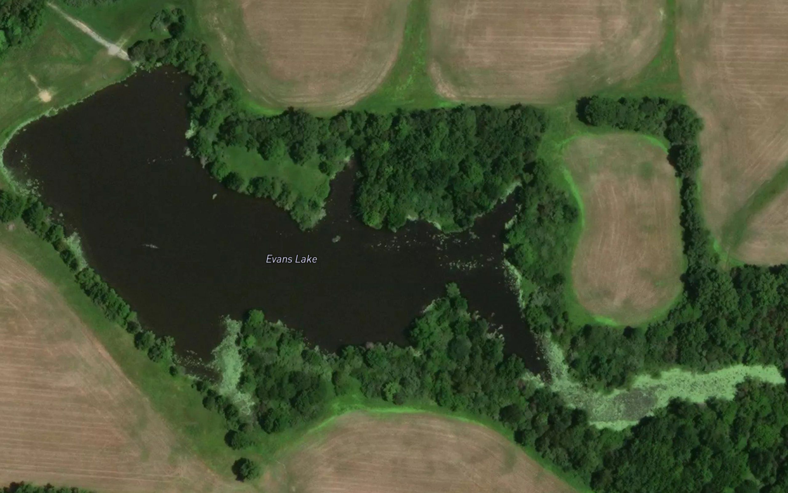 Evans Lake