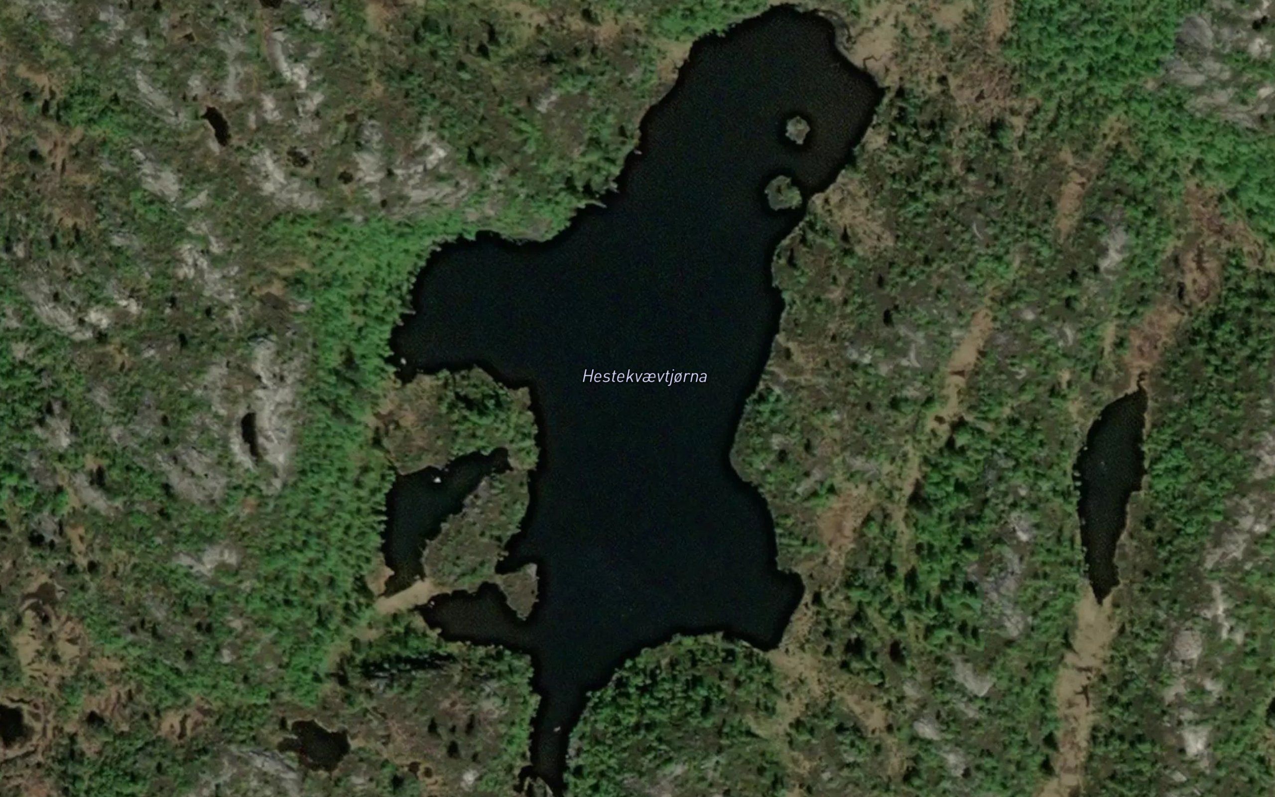 Hestekvaevtjorna