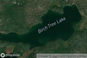 Birch Tree Lake