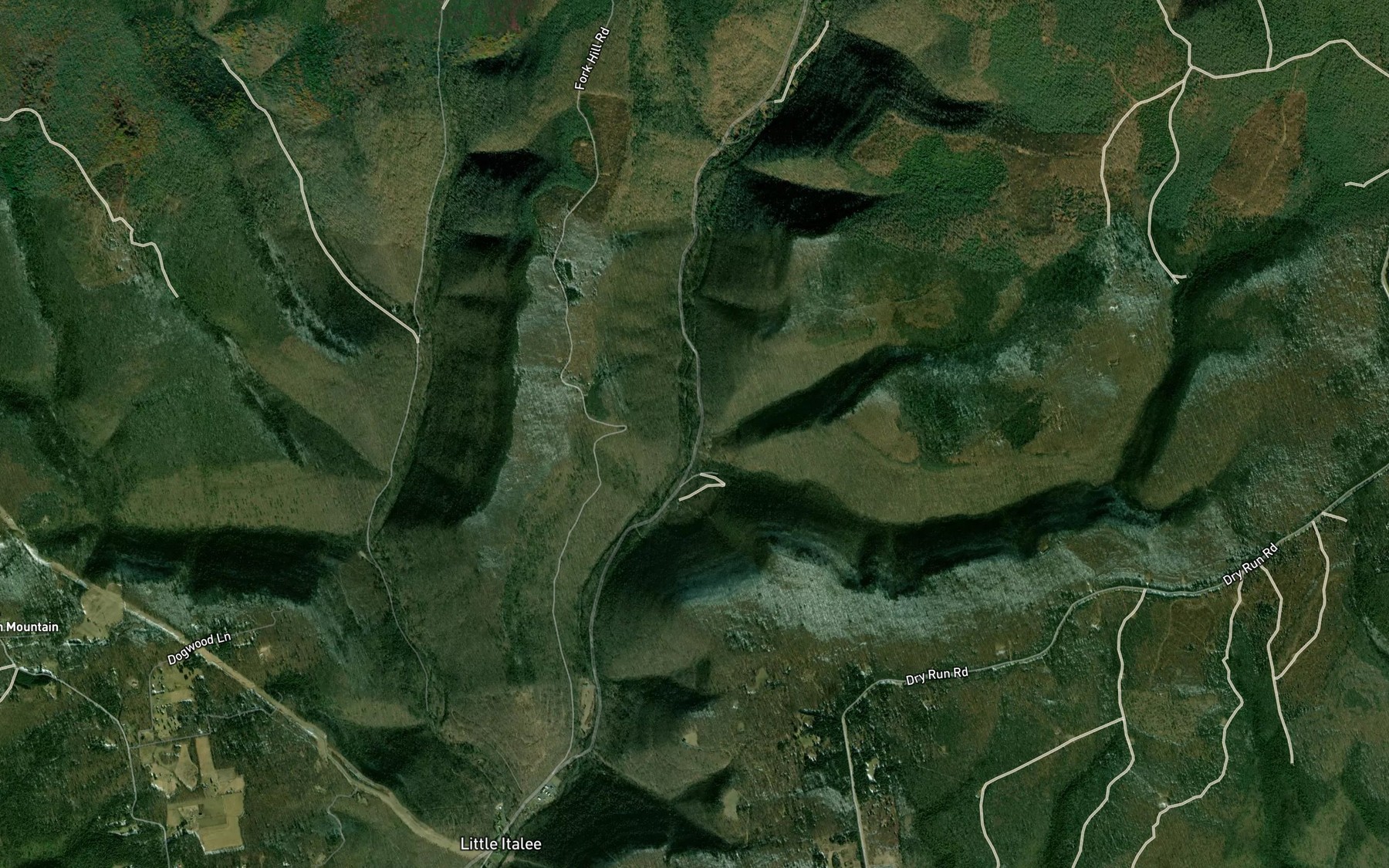 Satellite map of the Shaney Brook
