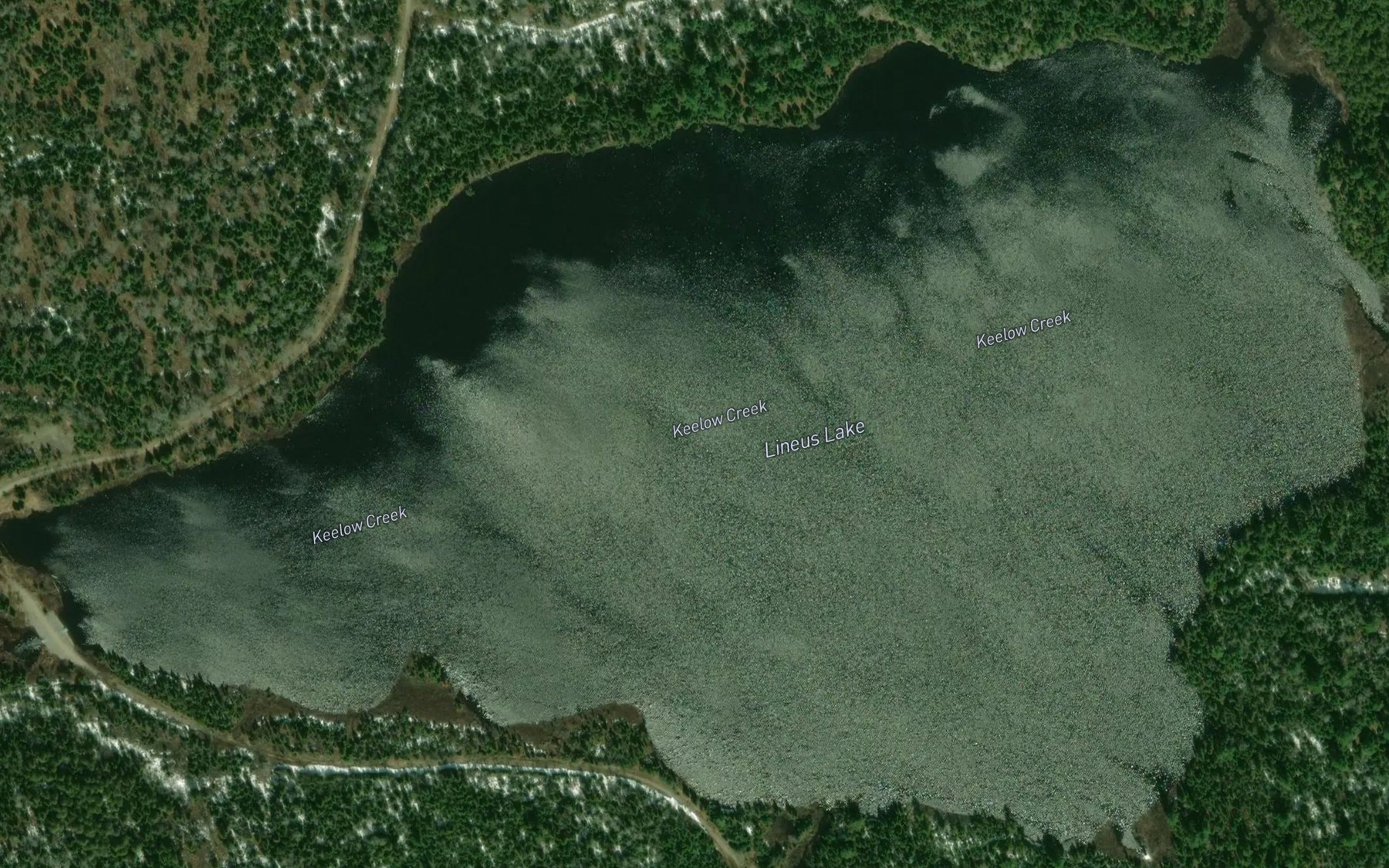 Satellite map of the Lineus Lake