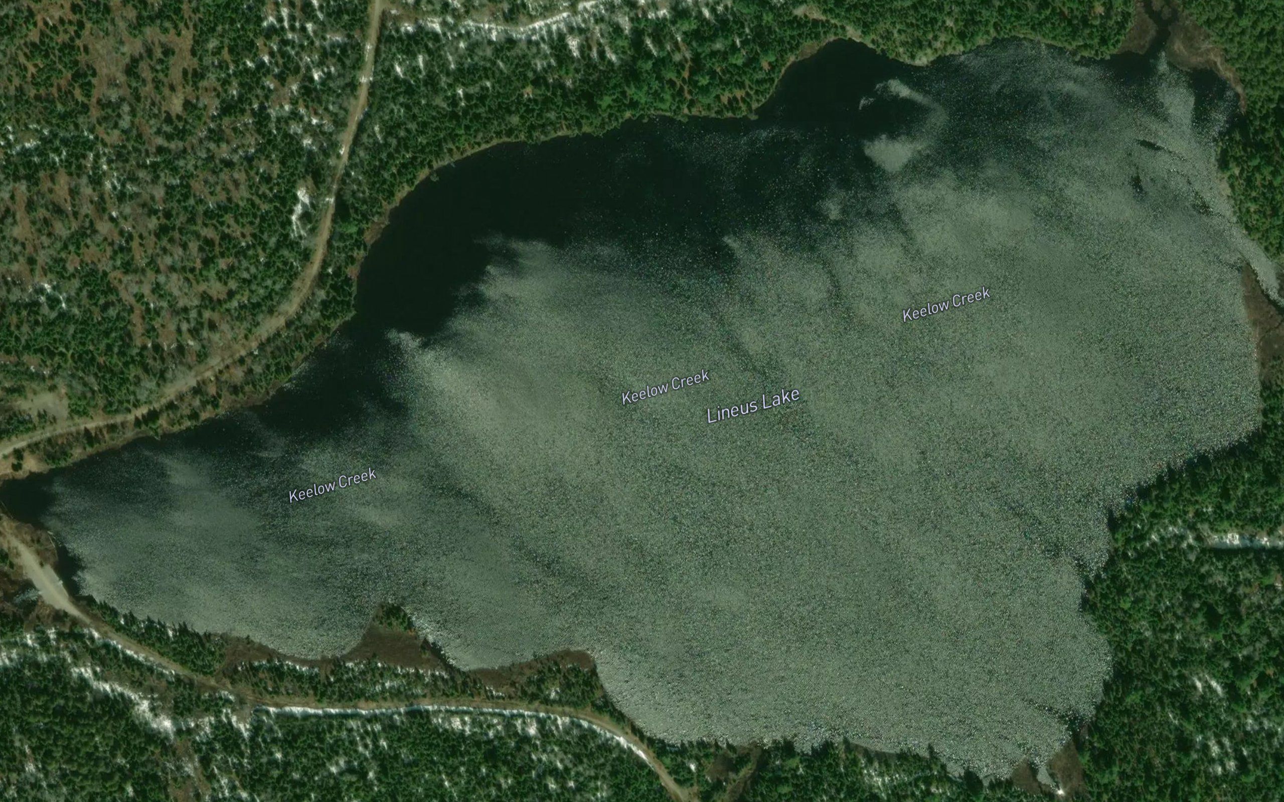 Lineus Lake