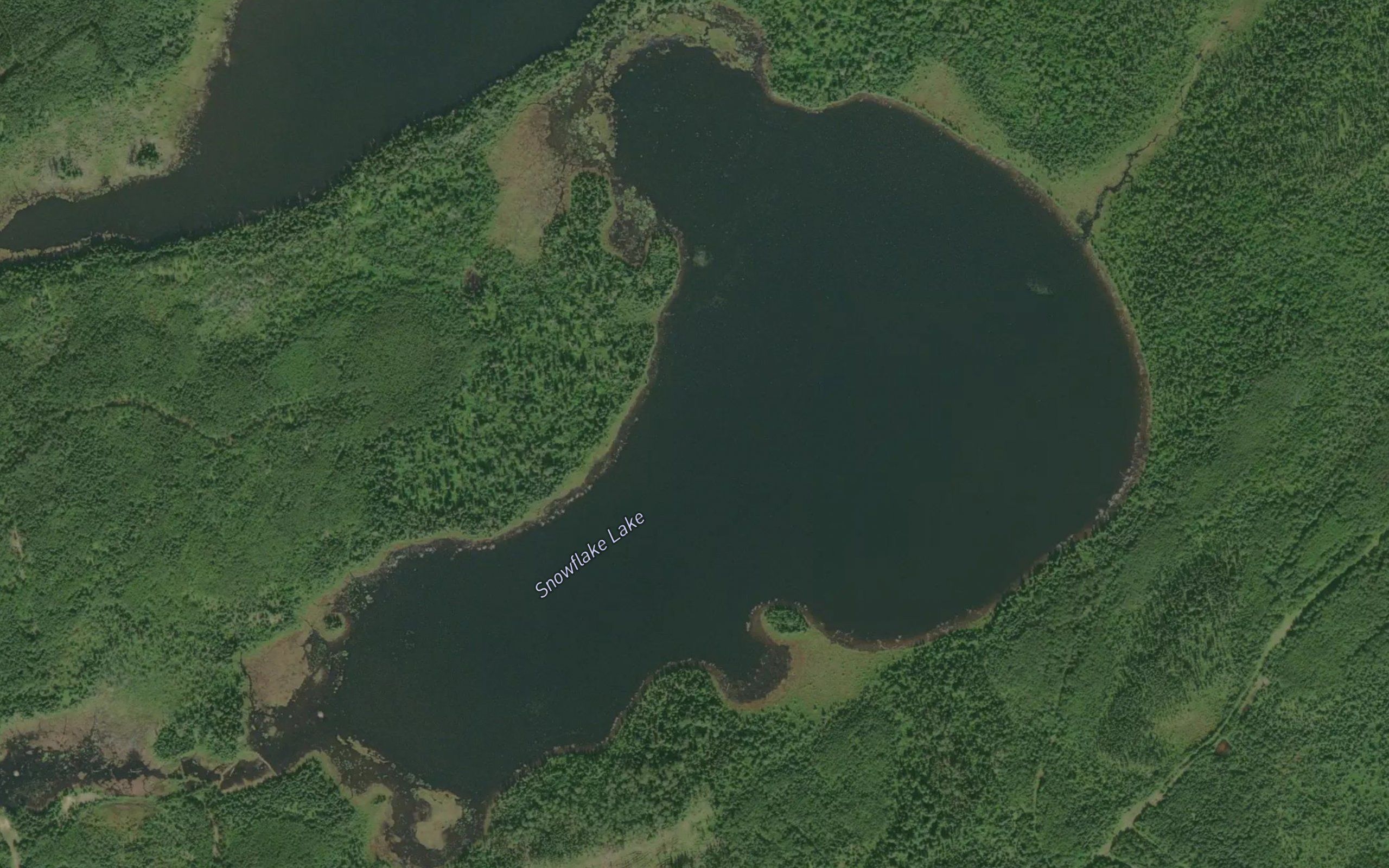 Snowflake Lake