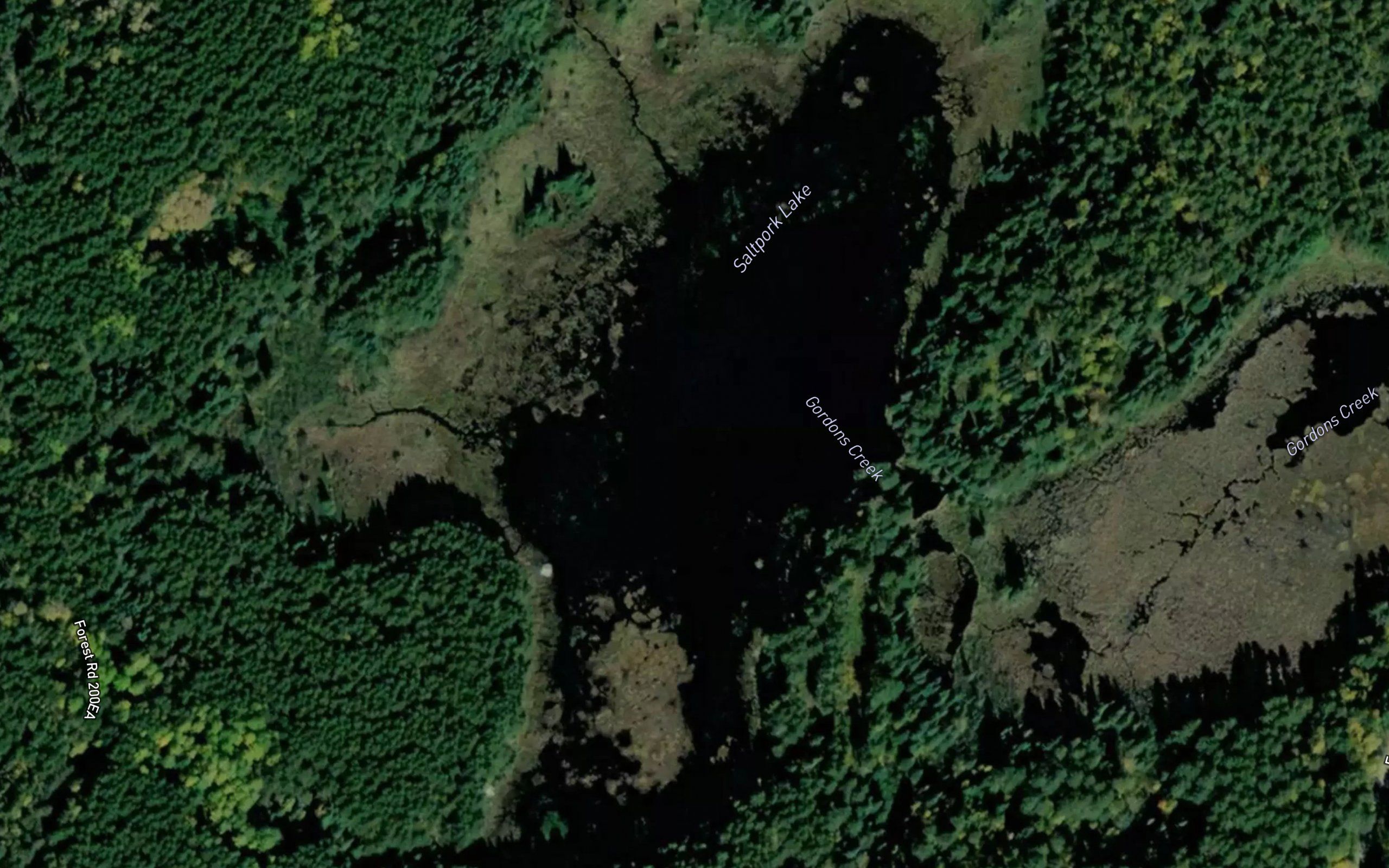 Saltpork Lake