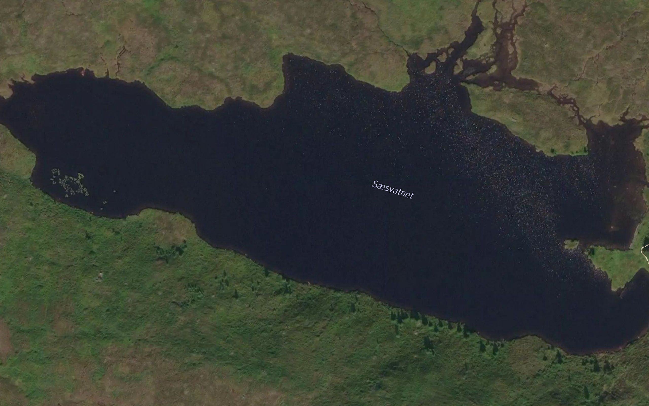 Saesvatnet