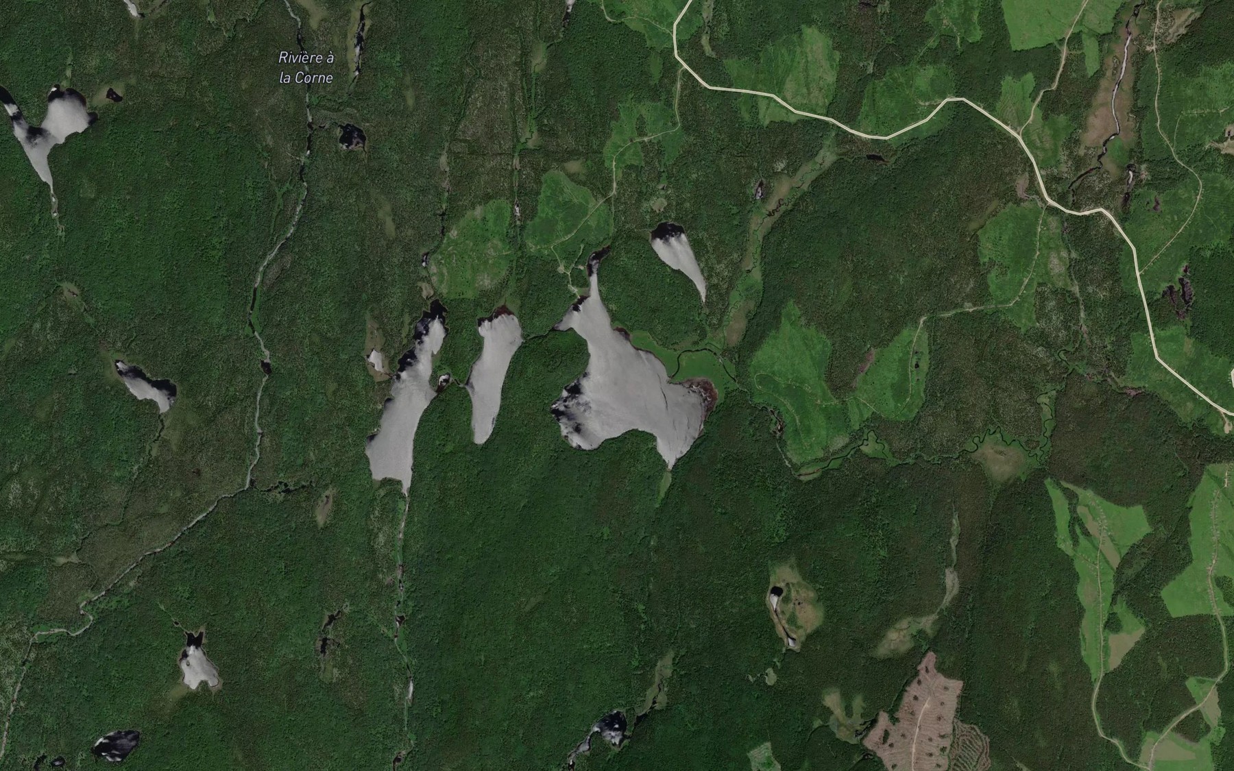 Satellite map of the Lac du Male