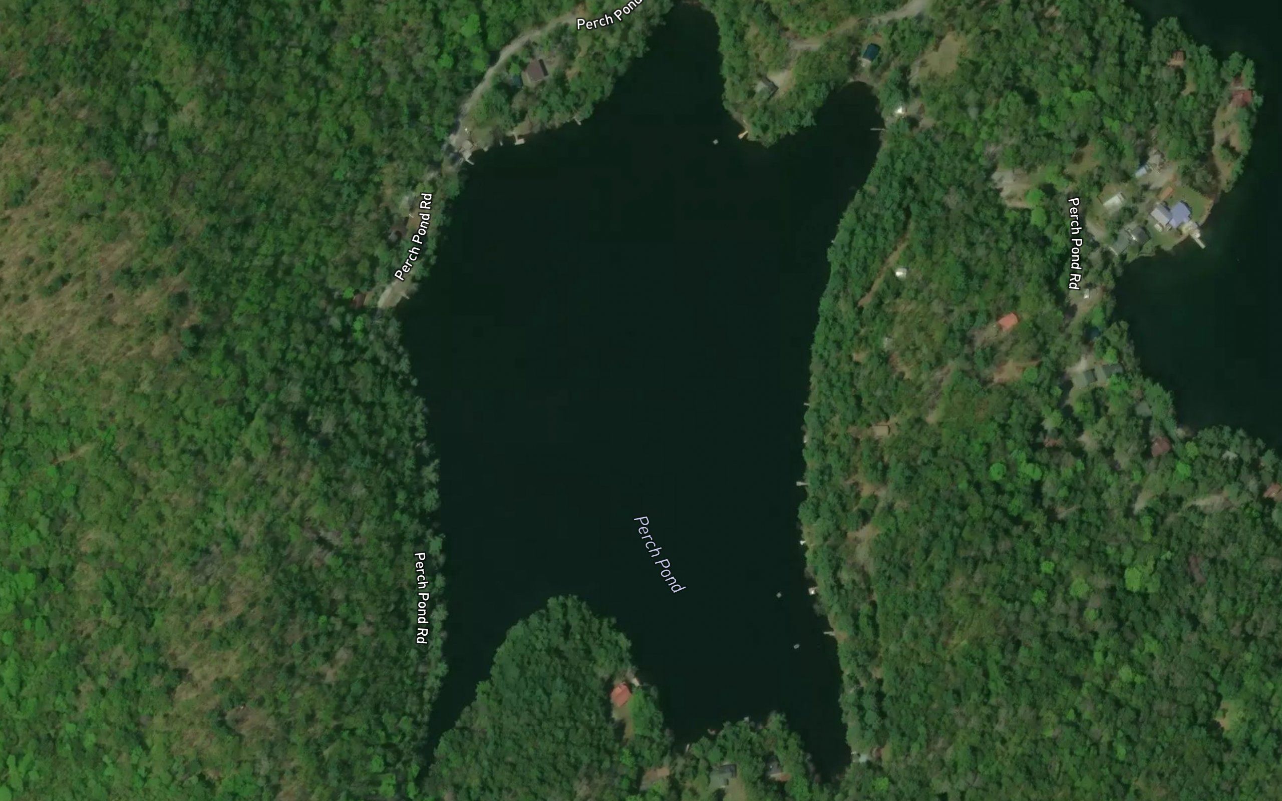 Perch Pond