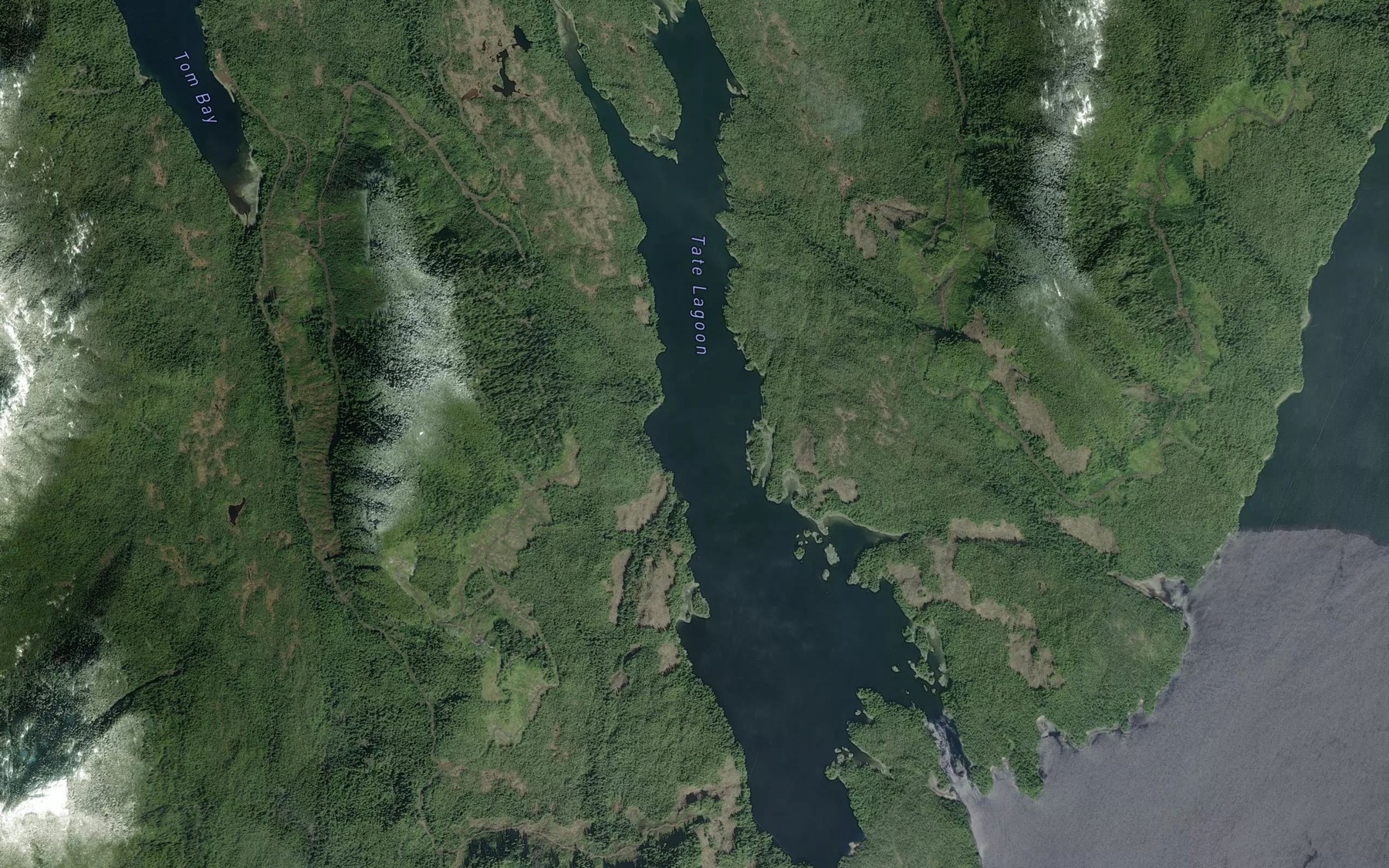 Satellite map of the Tate Lagoon