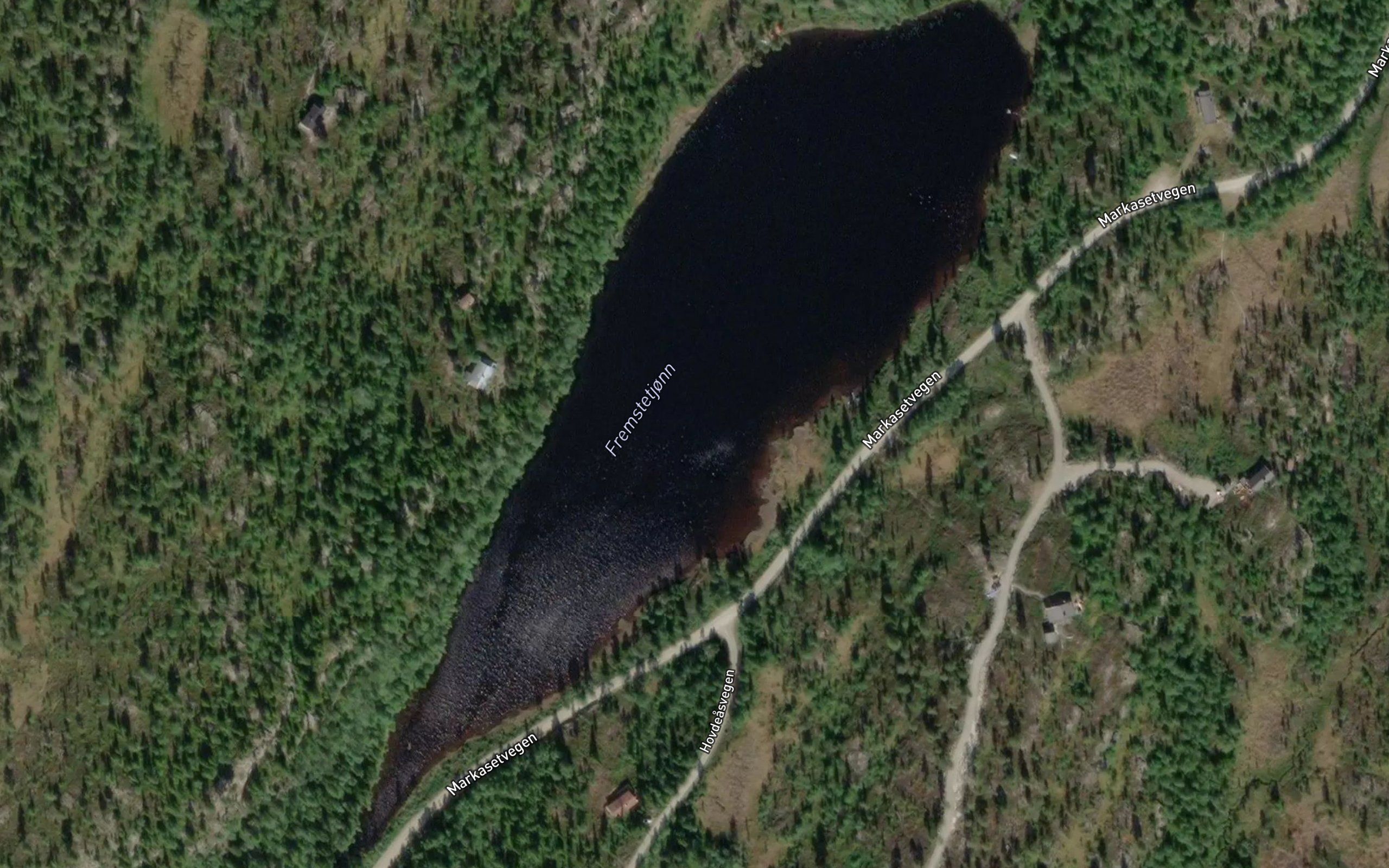 Fremstetjorn