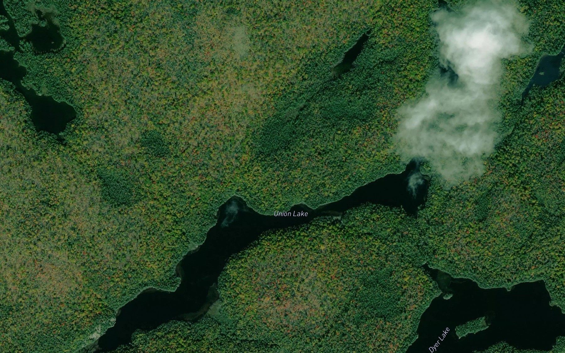 Satellite map of the Union Lake