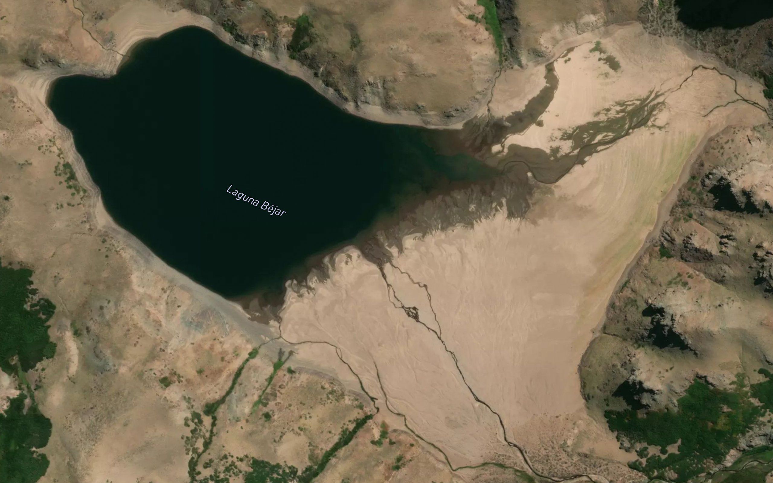 Laguna Bejar