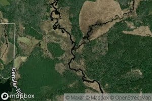 Scott Creek