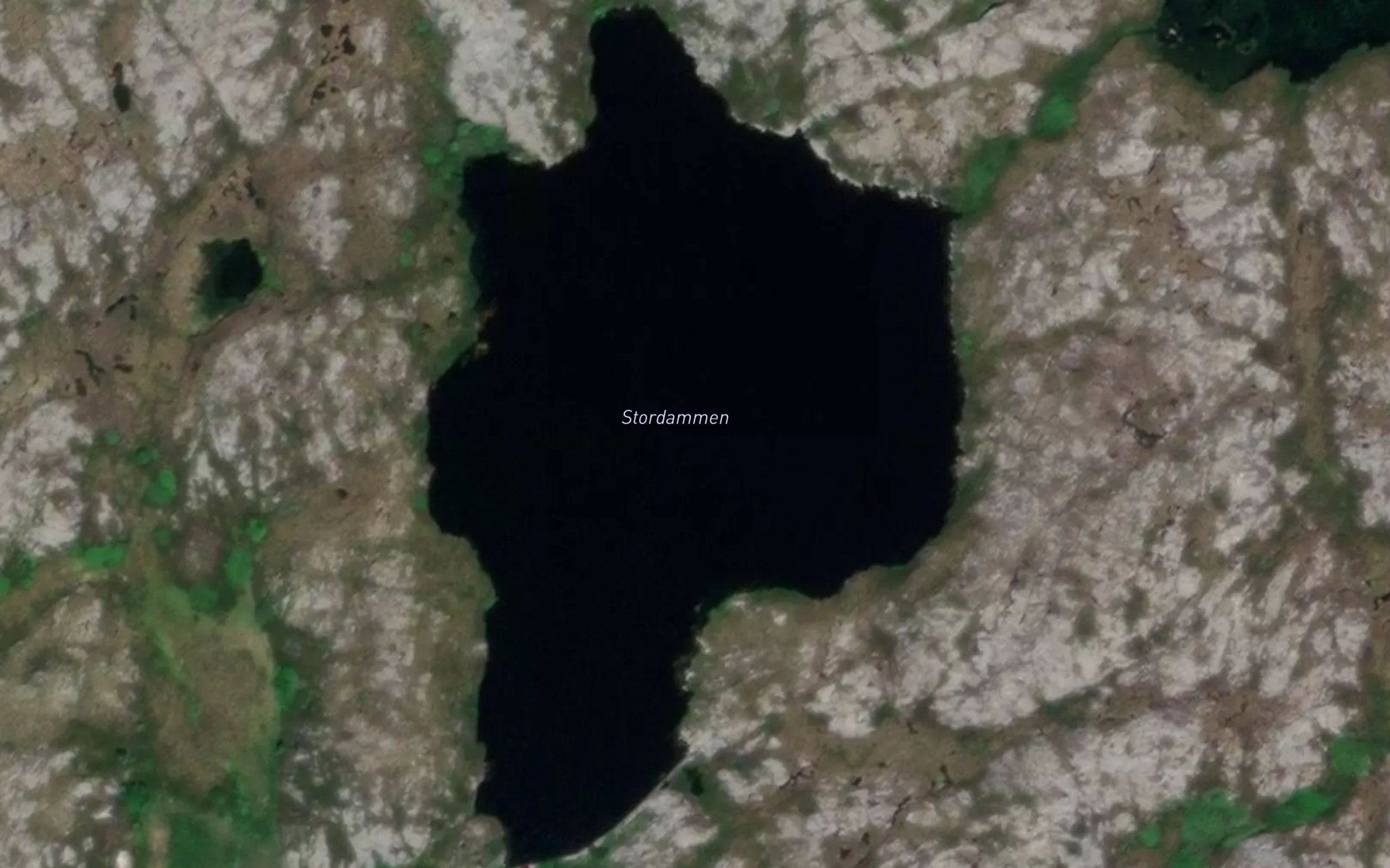 Litldammen