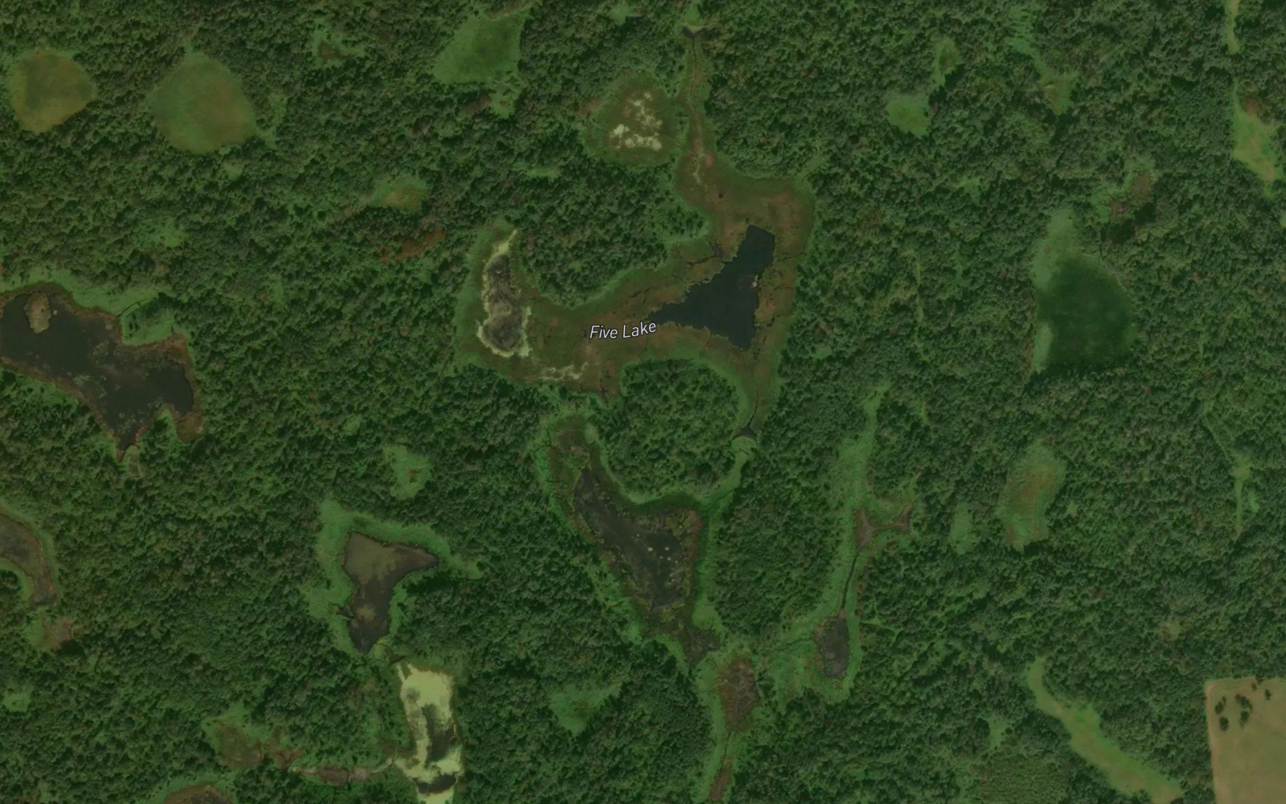 Five Lake