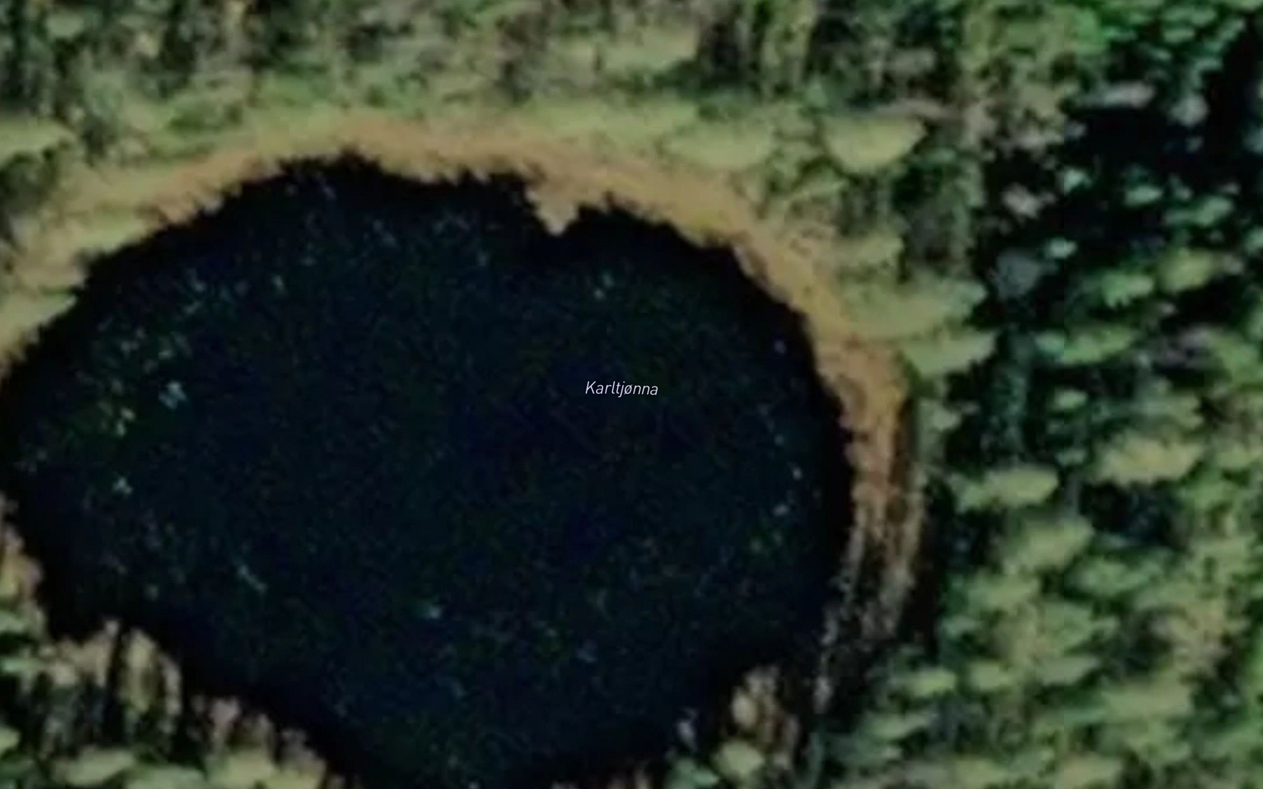 Karltjorna