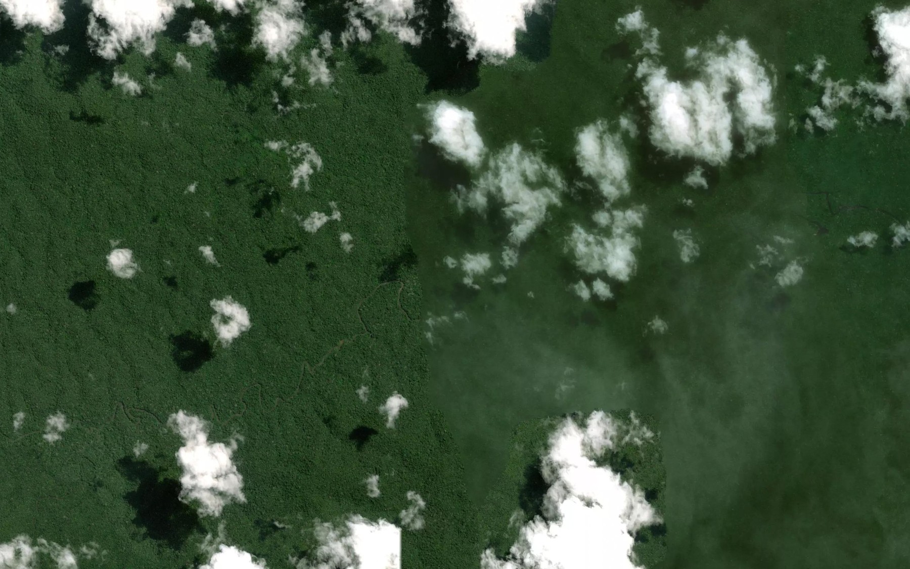 Satellite map of the Rio Carsona