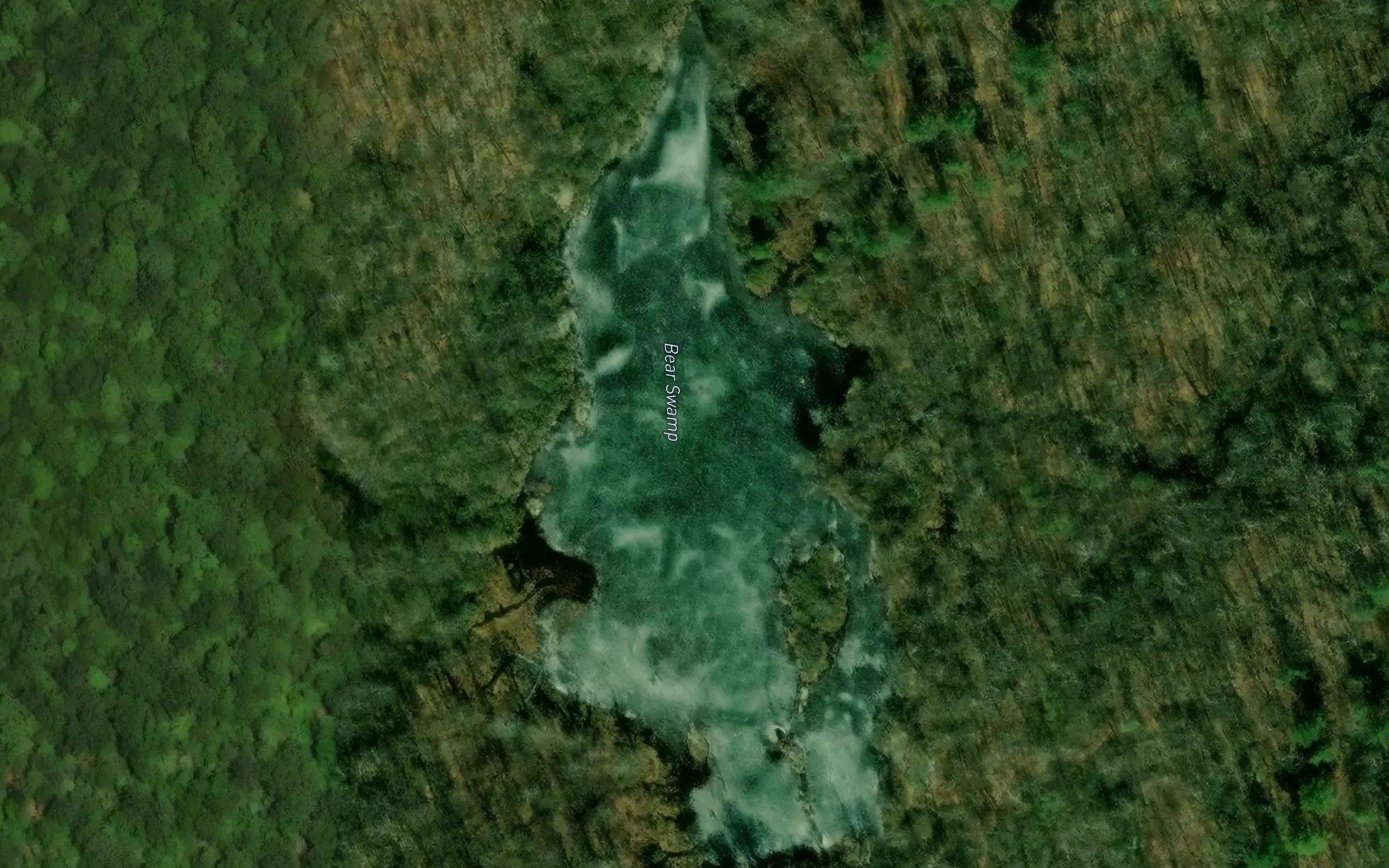 Bear Swamp