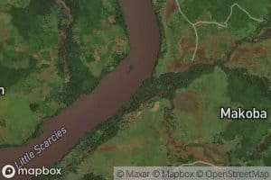 Makolo